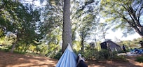 Hammock view