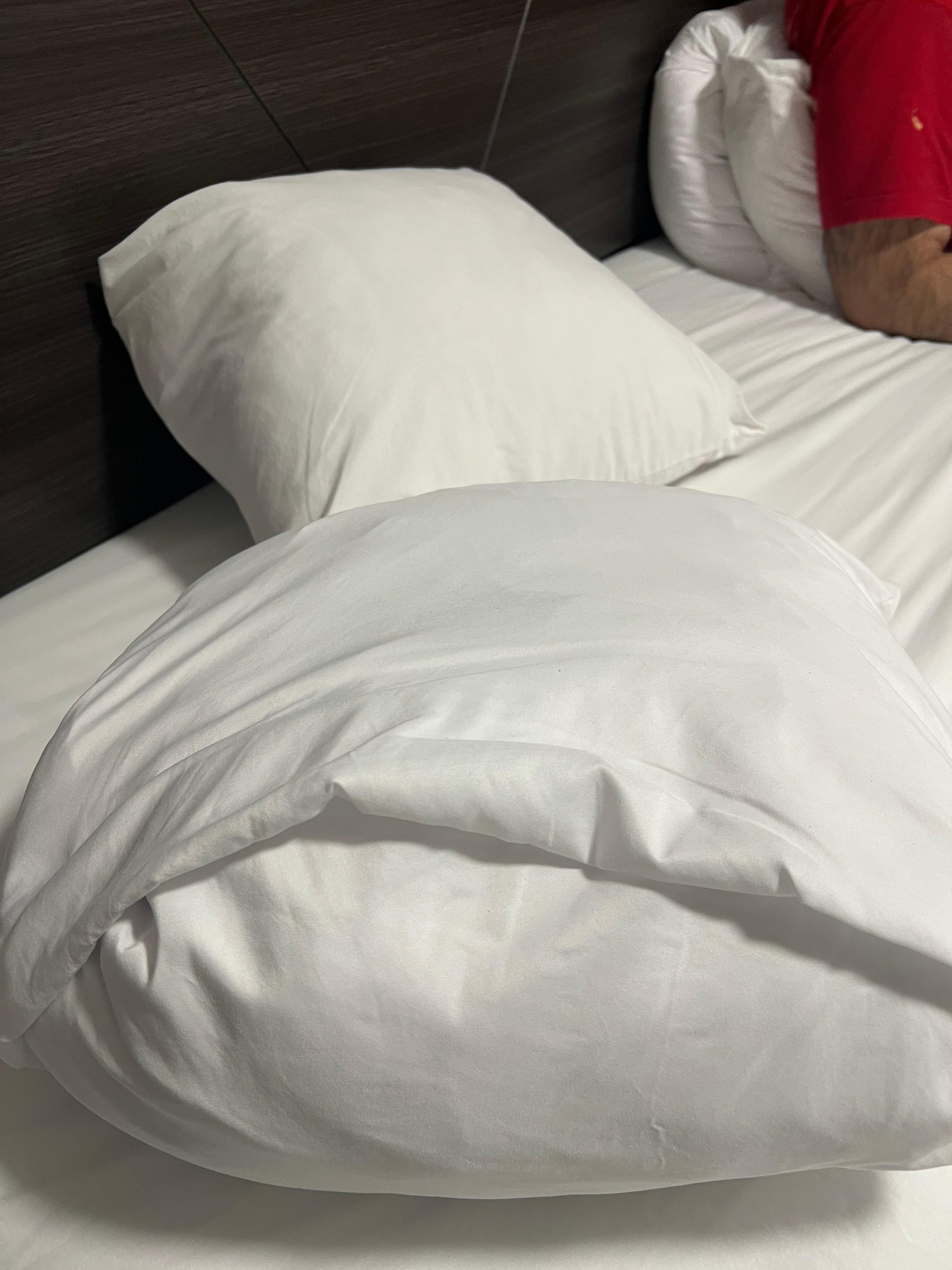 Pillows appeared throw size at first