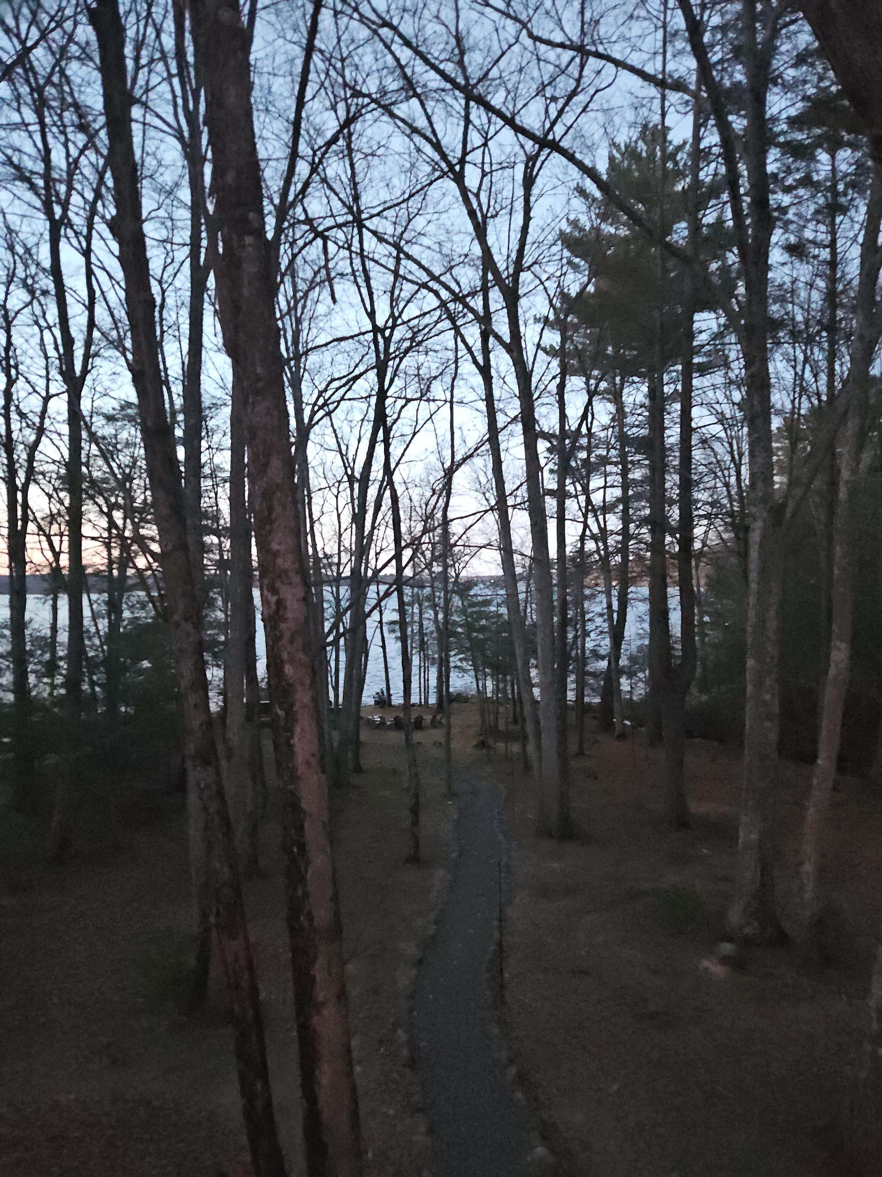 Our view from the sun porch.