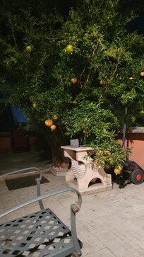 Terrance at night