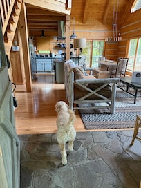 My service dog enjoying our home away from home