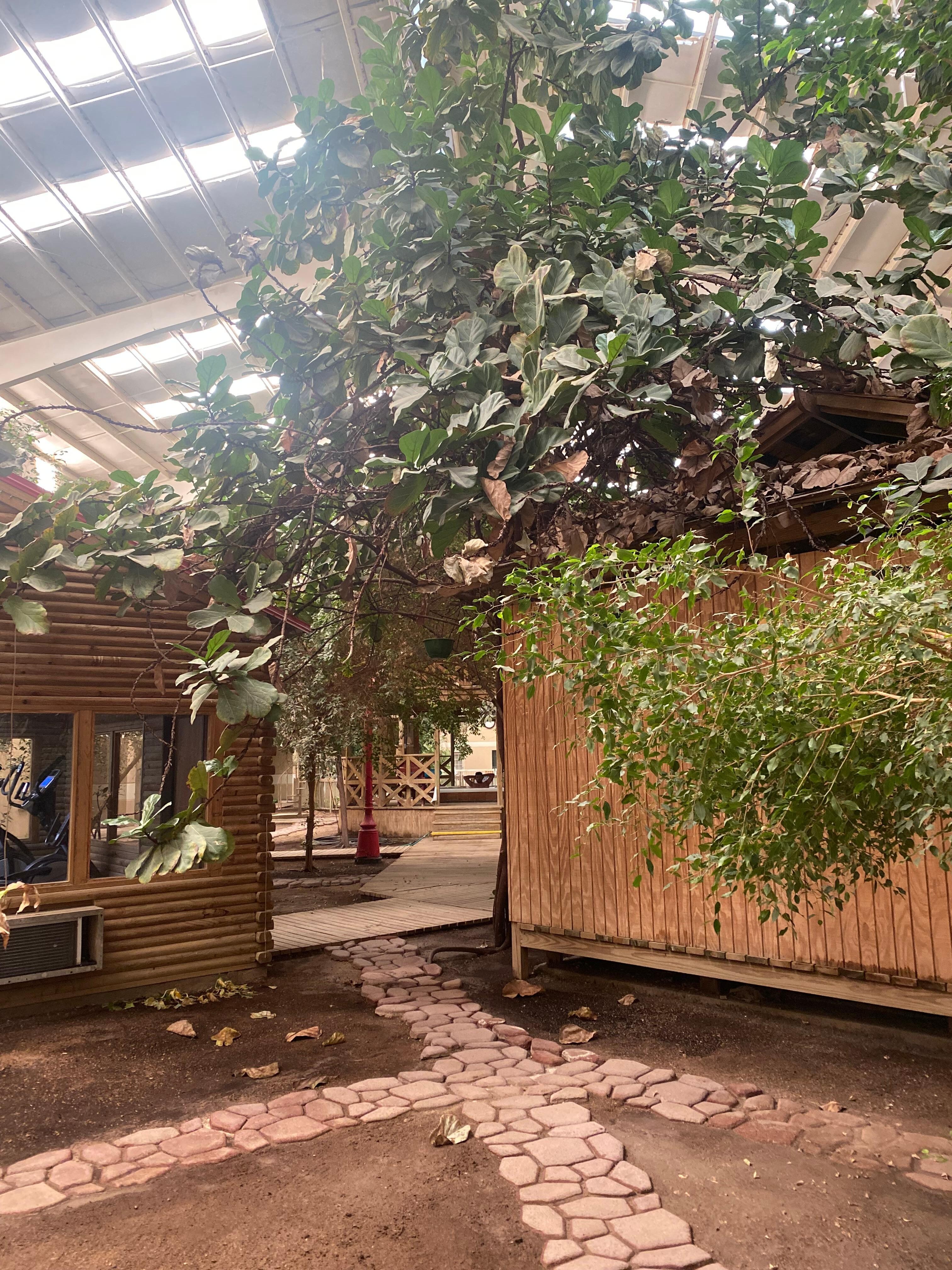 Atrium 