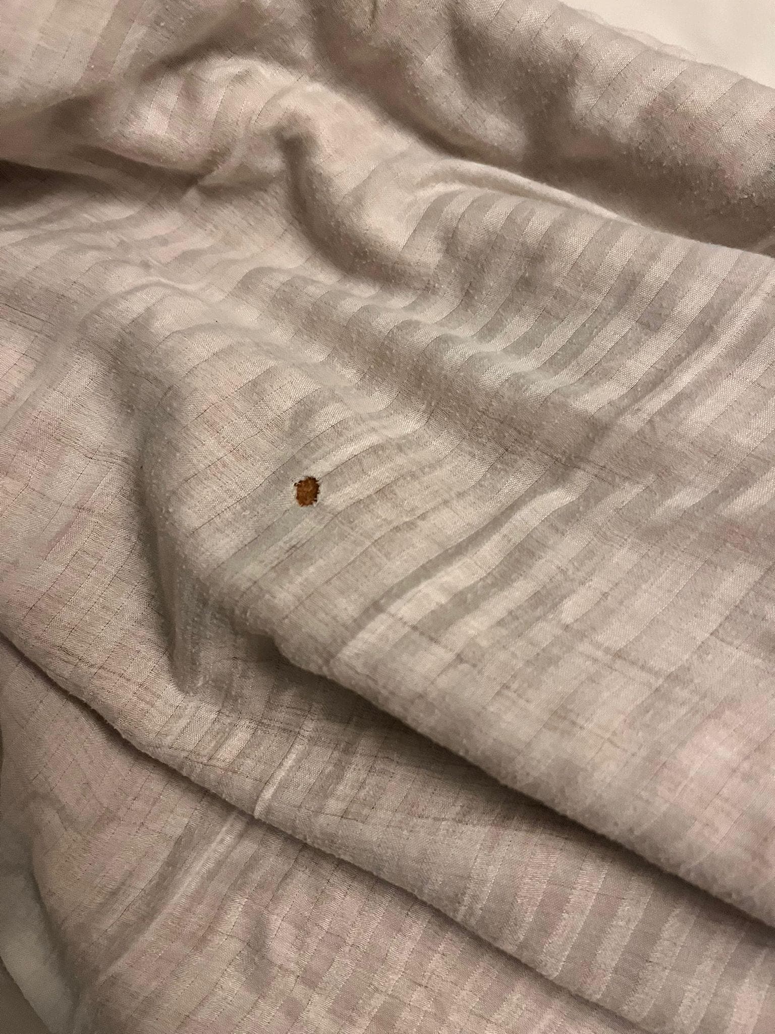 blood stain on the very worn mattress