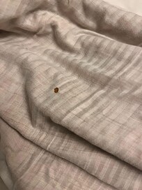 blood stain on the very worn mattress