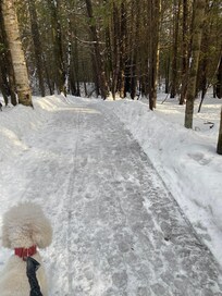 Randonnée pédestre