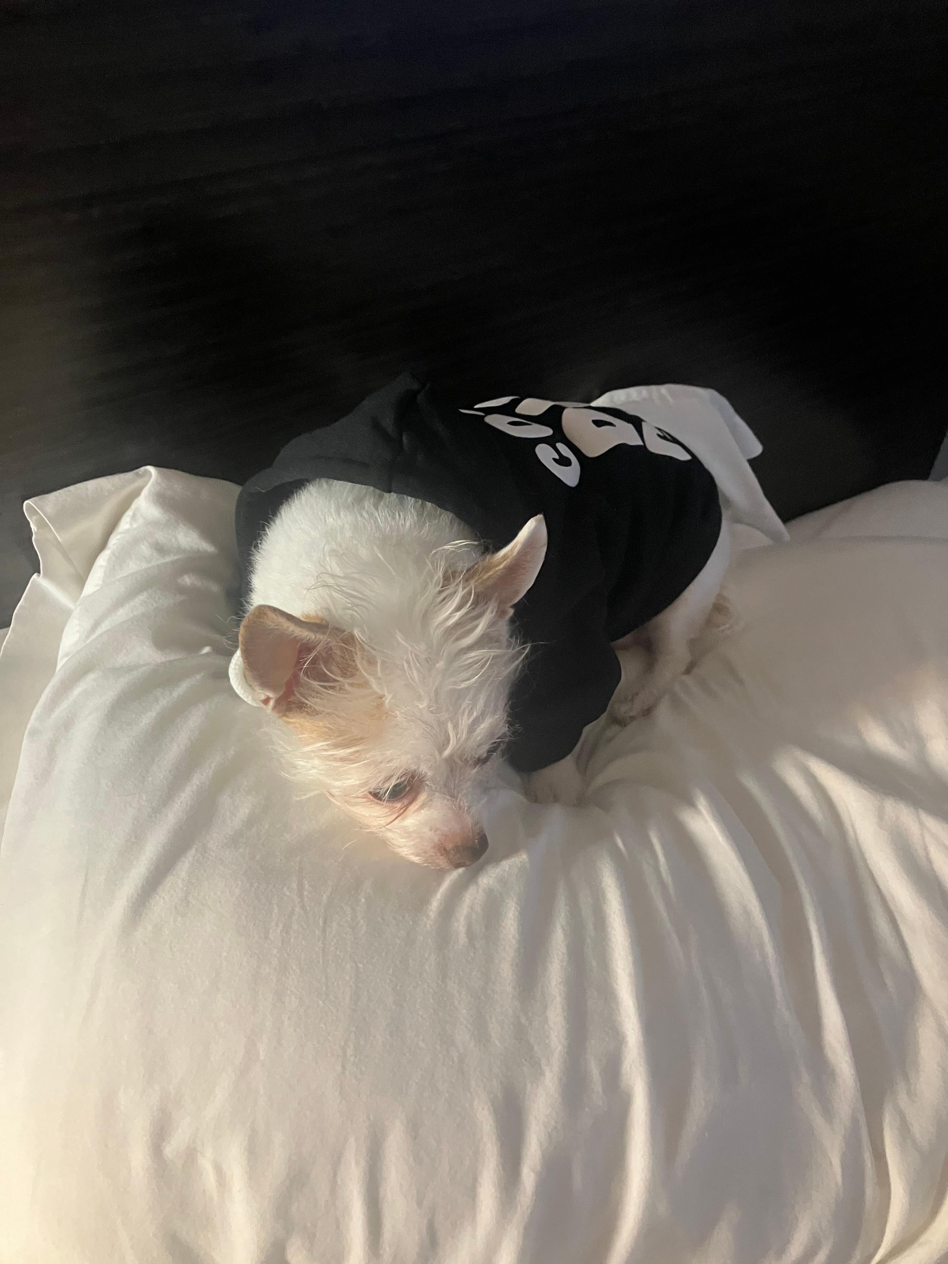 We chilled so hard this was the only photo I took