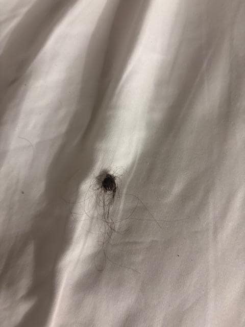 Haor balls all over the sheets, had to sleep in our own blanket on top of the plastic noisy mattress