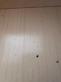 Junk in drawers