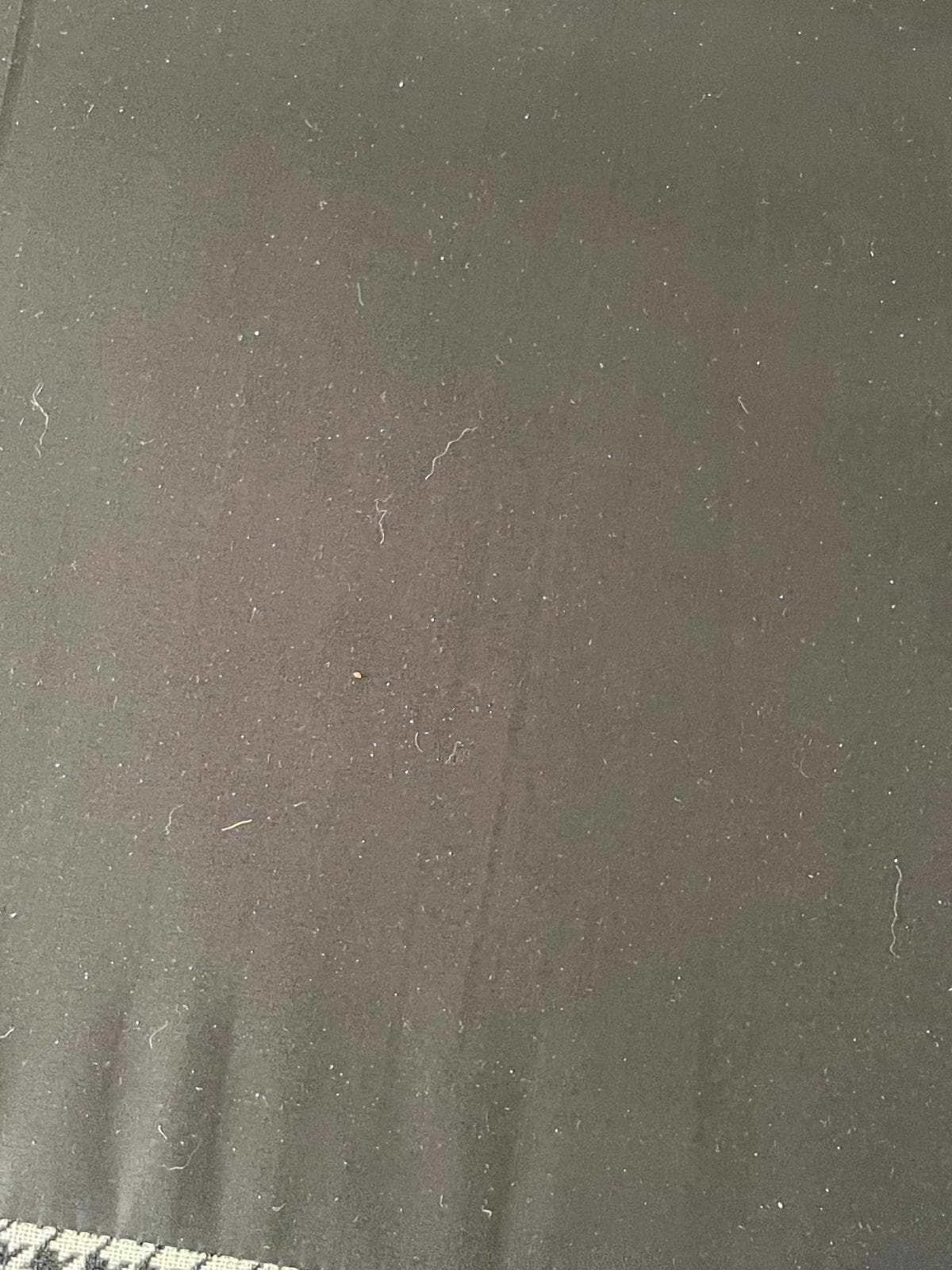 Polvere e Peluria sul materasso del divano letto