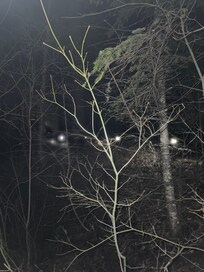 Trail from parking to lodge