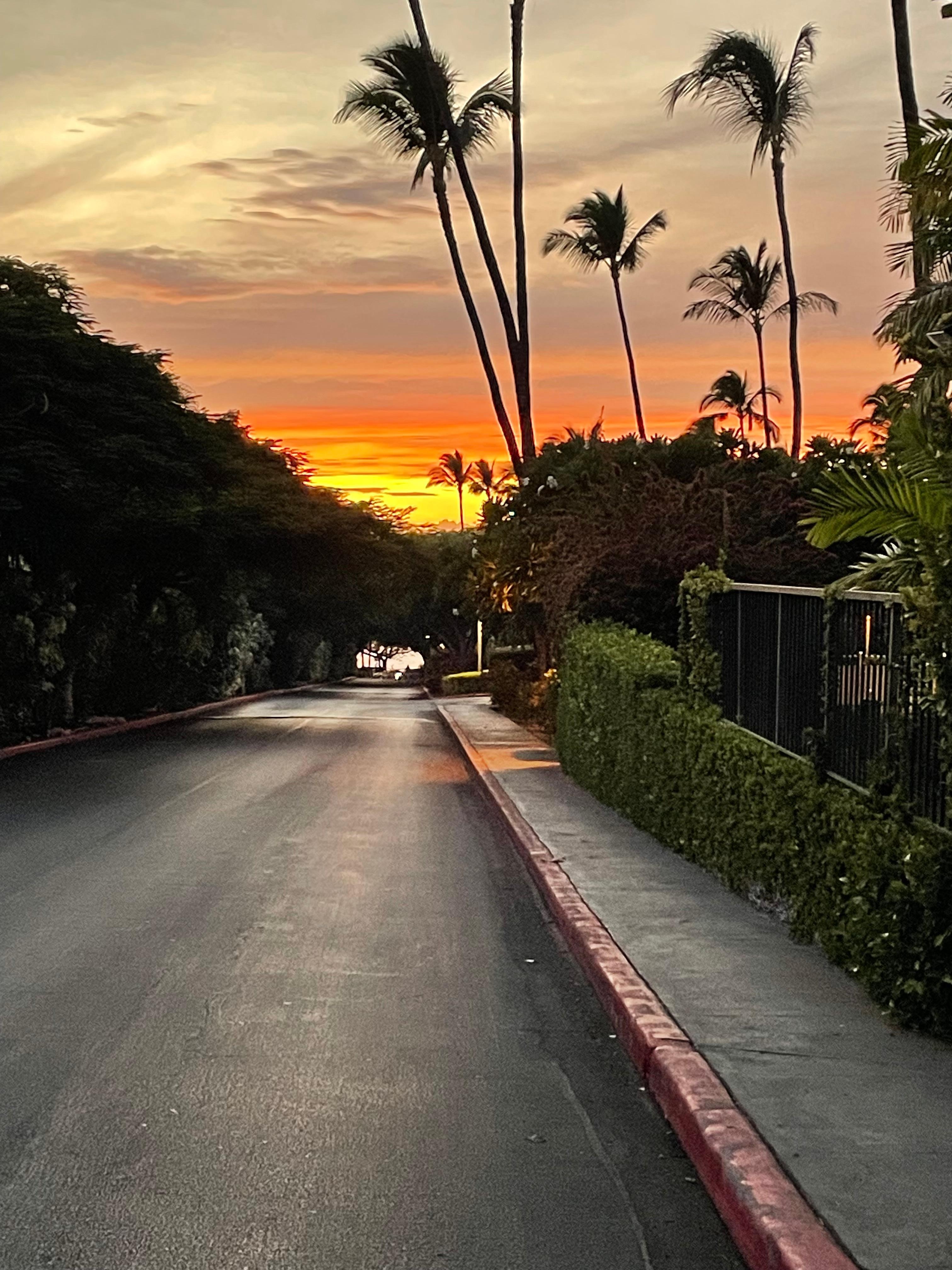 The view from the driveway to the beach 