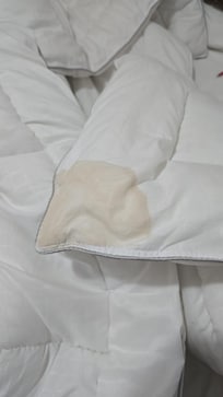 Manchas de pipi o...y cubre colchón y colchón con grandes manchas...relacion precio y estado de la cama y rstado WC y bañera mucha humedad y negro..de ..moho...