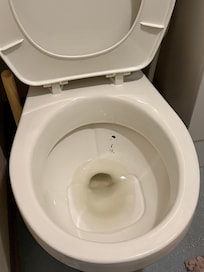 Fecal stain