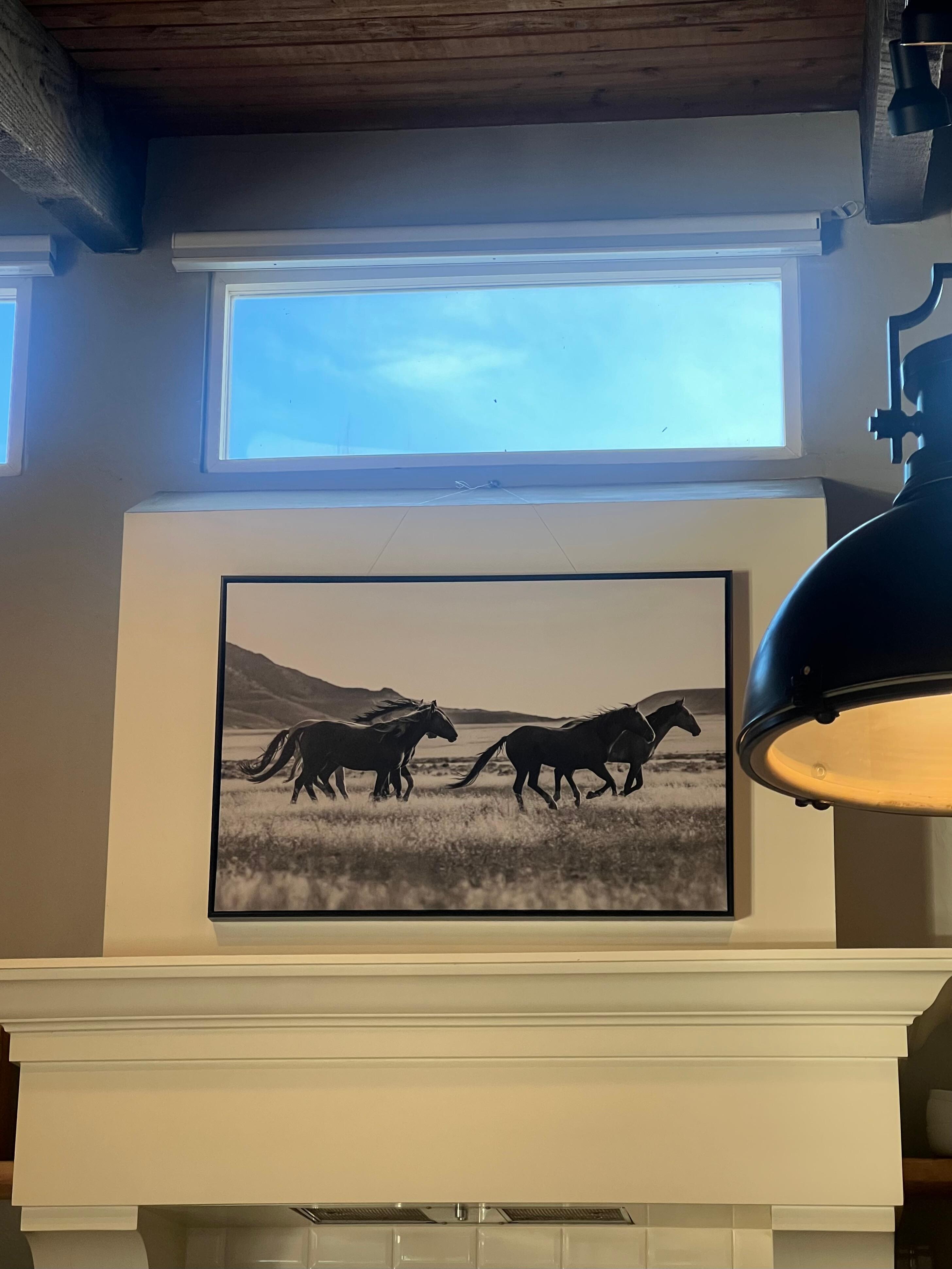 Lots of natural light 