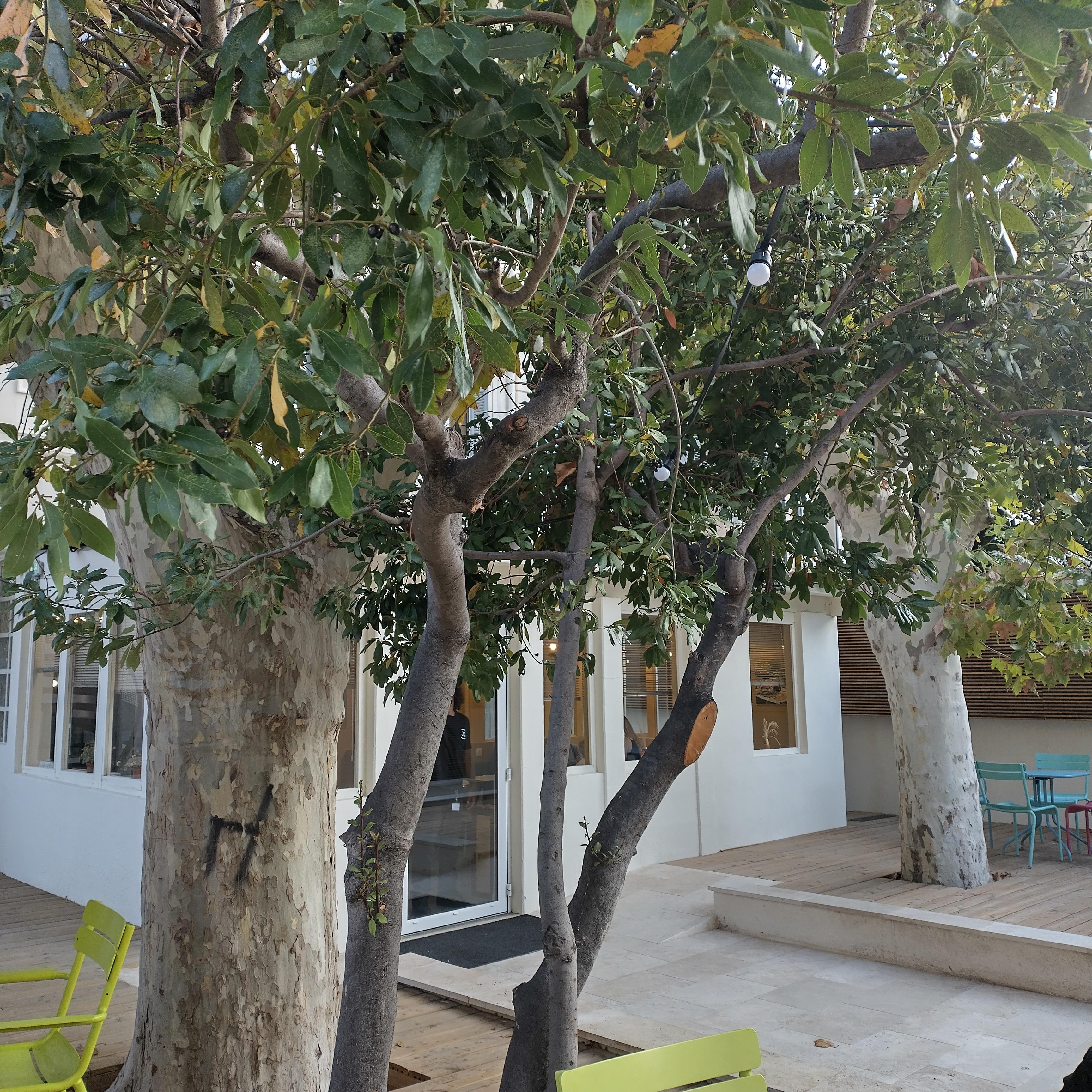 Ihana sisäpiha jossa nauttia aamupalaa