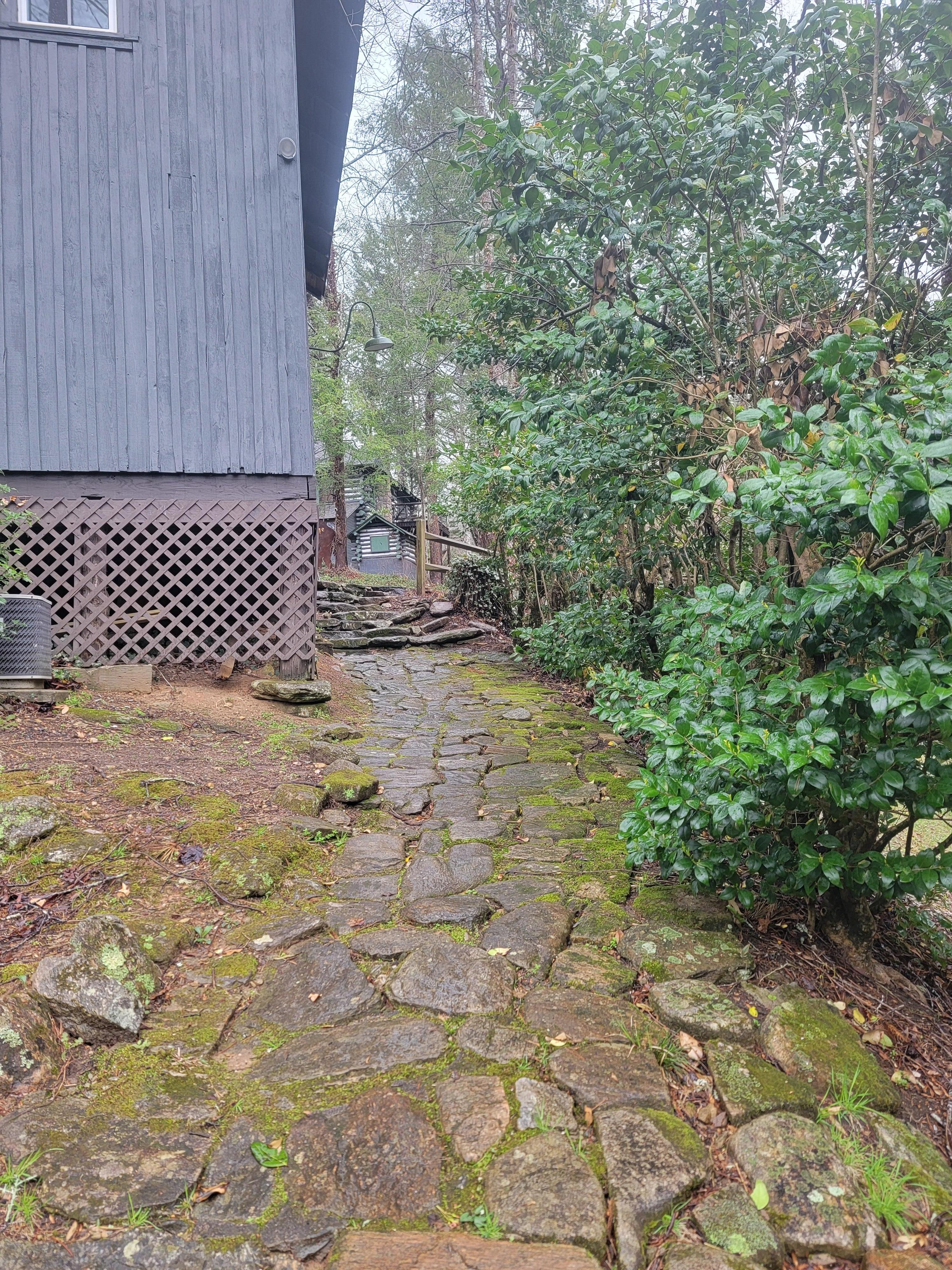 The walkway up from the Trout house