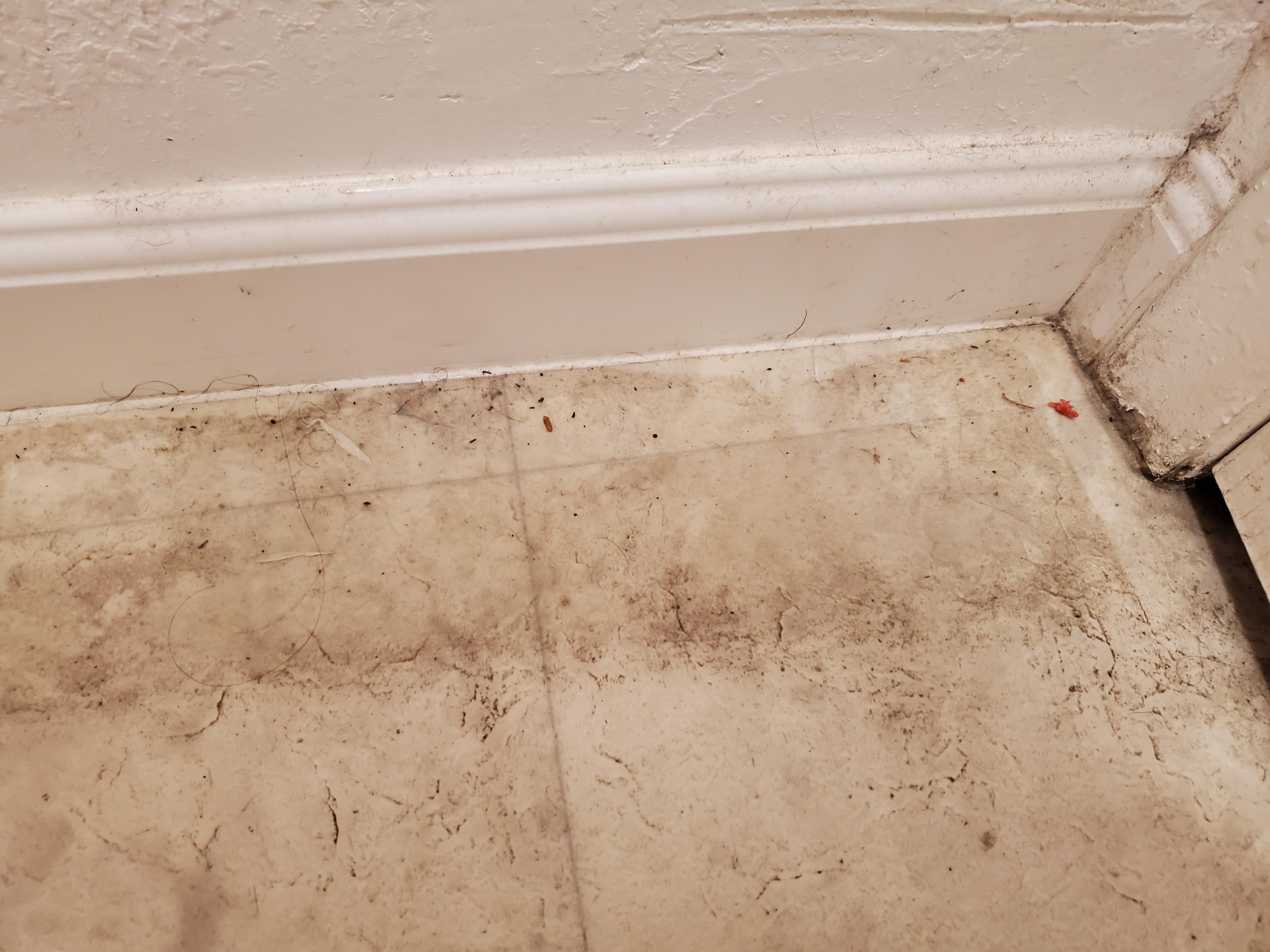 Behind bathroom door