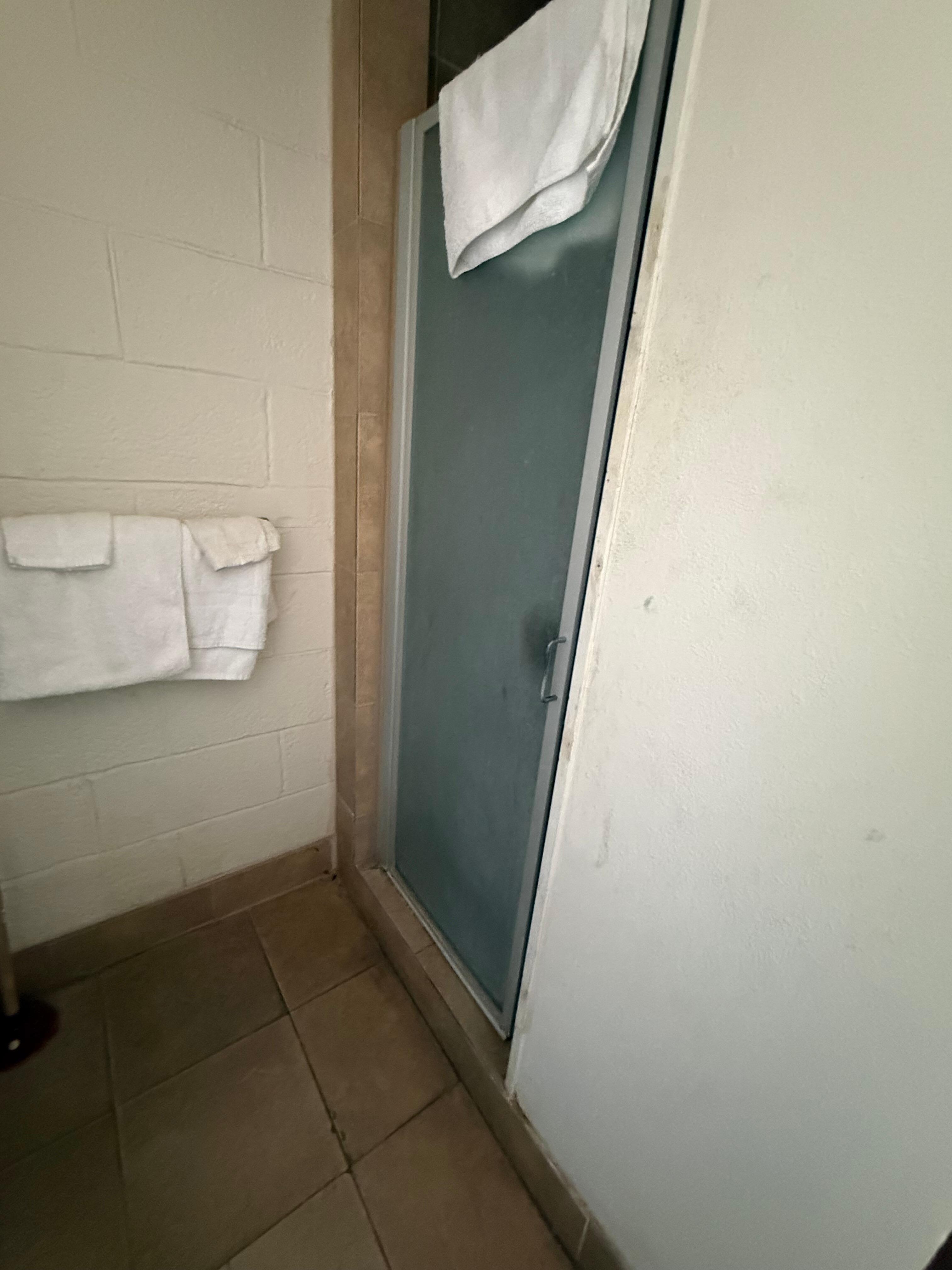 Shower door so dank we did not use it. Clean towels so stained and old some were yellowed. Did not use. 