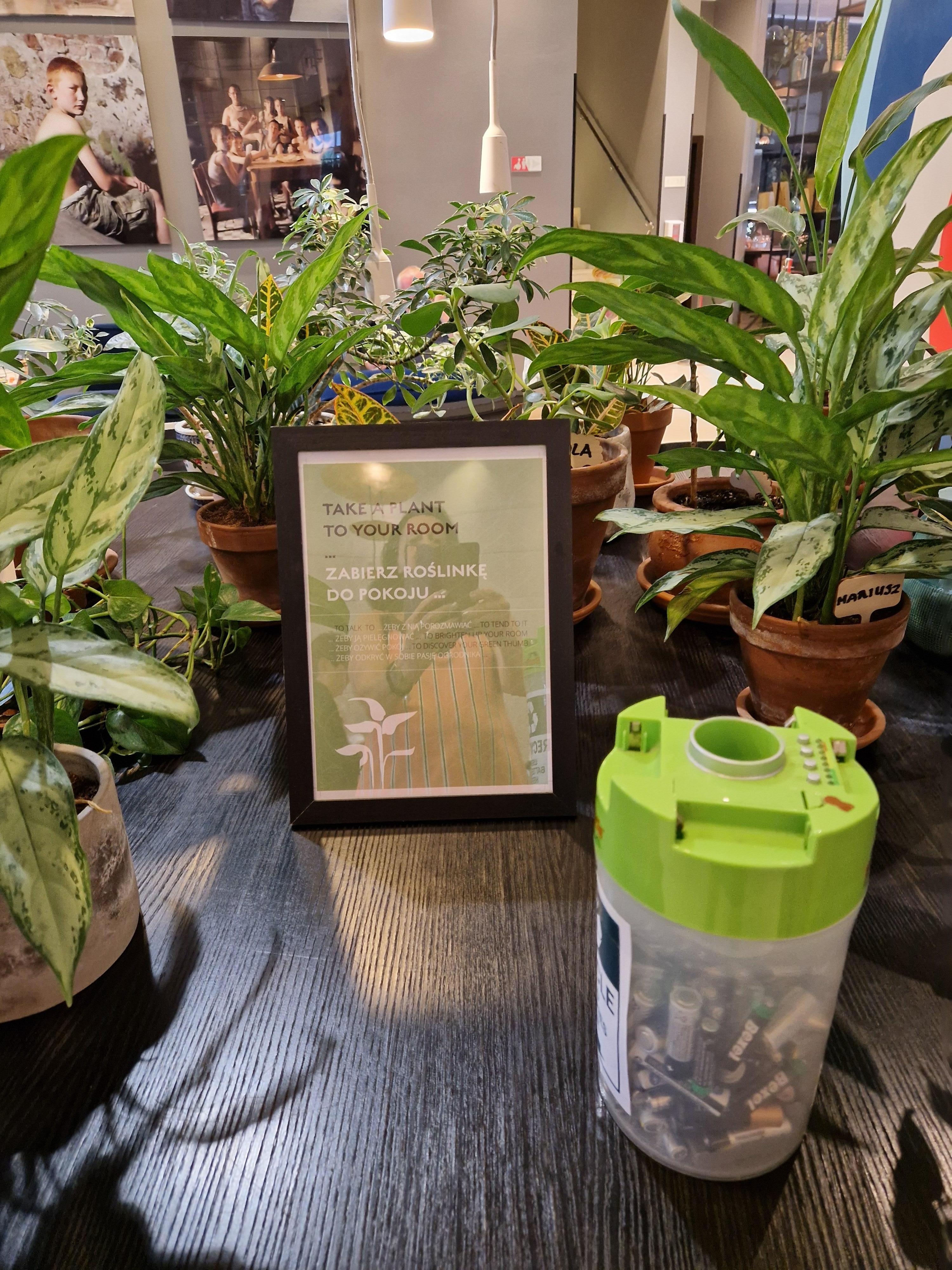 Pflanzen, die auf mitnahme warten - jede hat natürlich einen passenden eigennamen