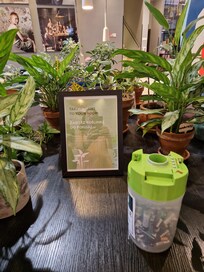 Pflanzen, die auf mitnahme warten - jede hat natürlich einen passenden eigennamen