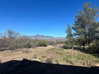 Looking east from the back patio.