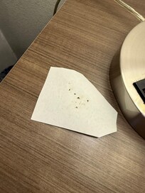 Ants