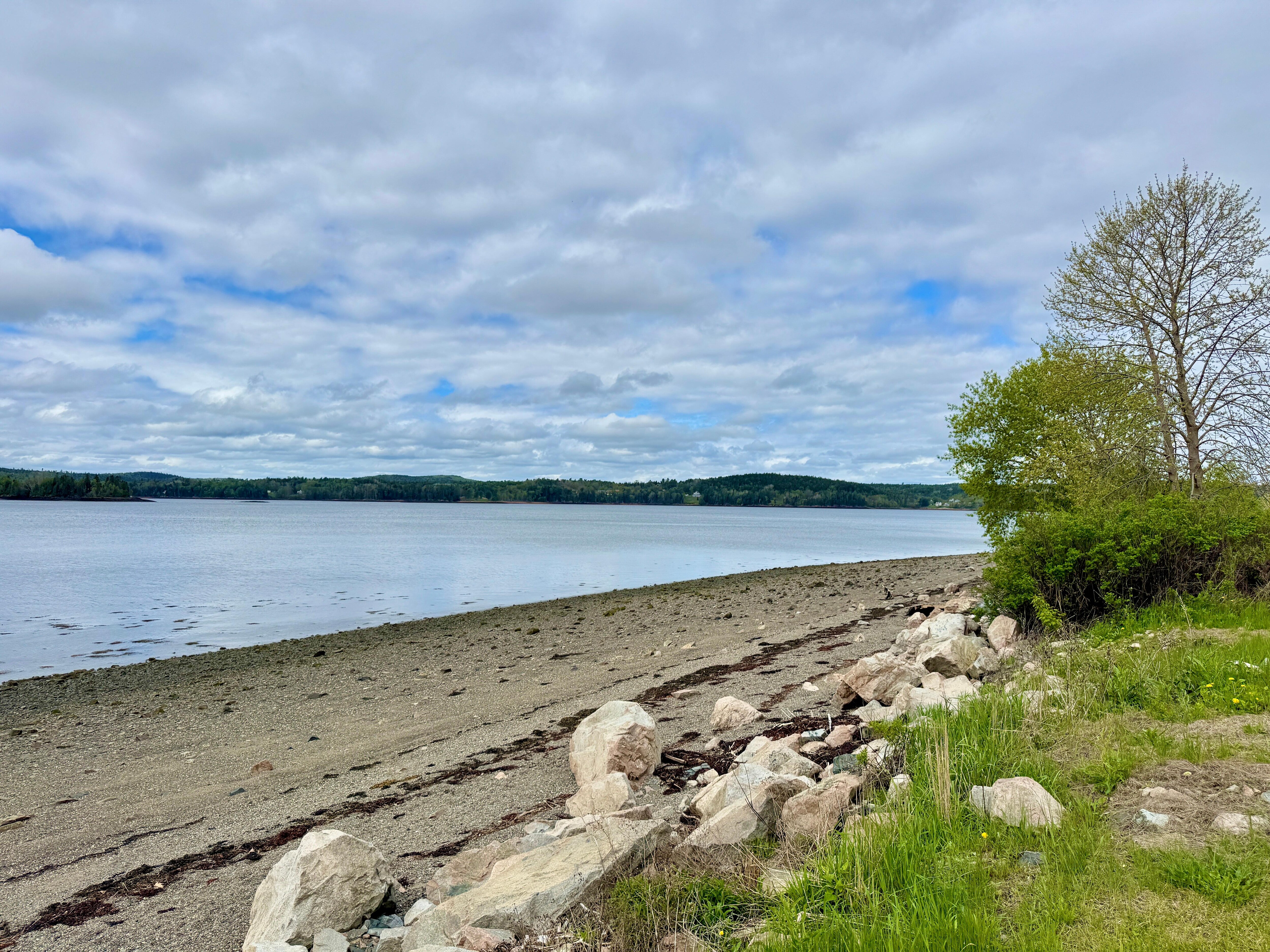 View from the shoreline