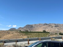 View from driveway