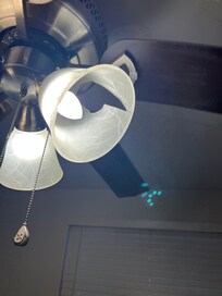 This hangs over one of the beds