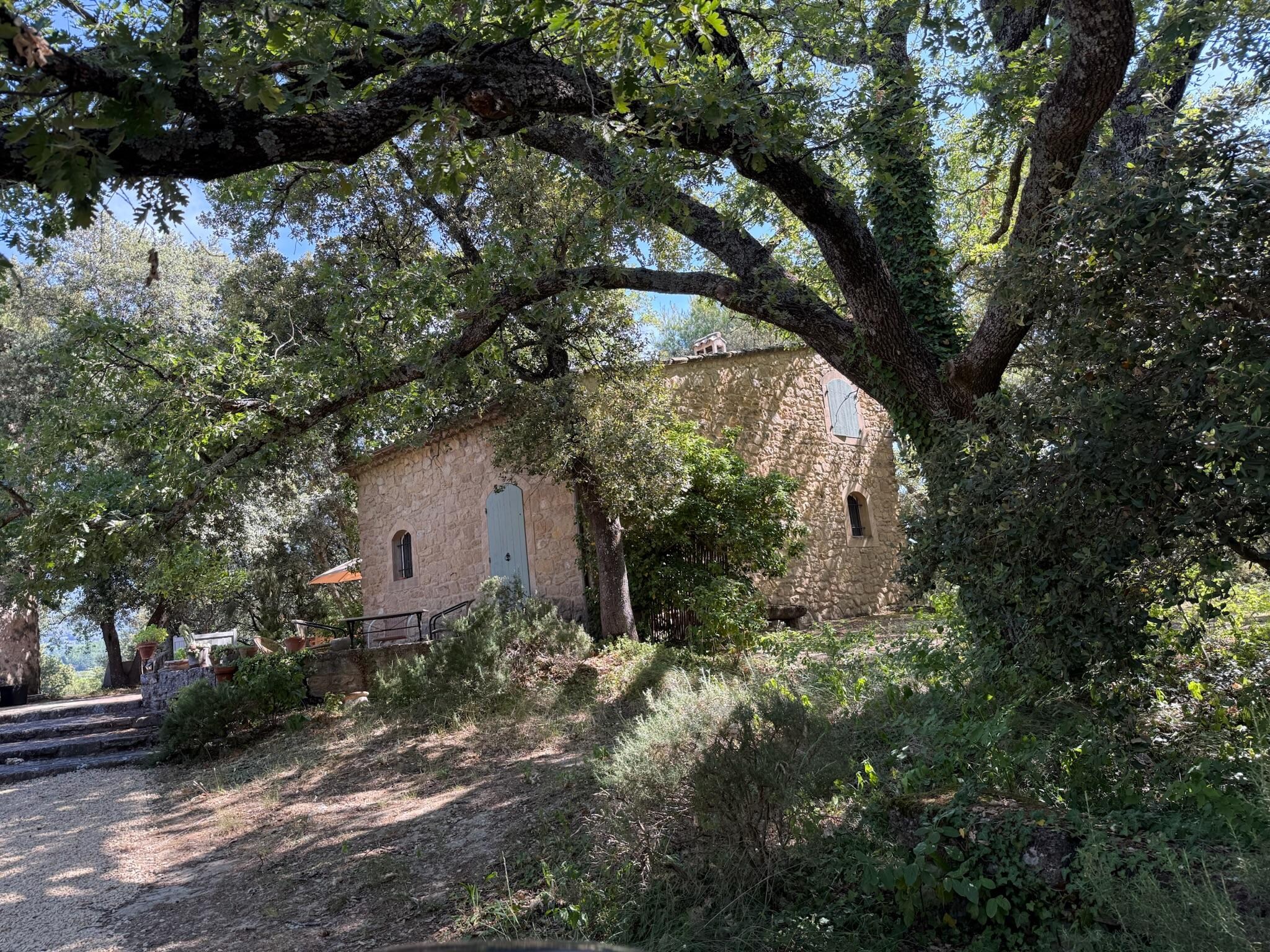 Nestled perfectly in the trees.