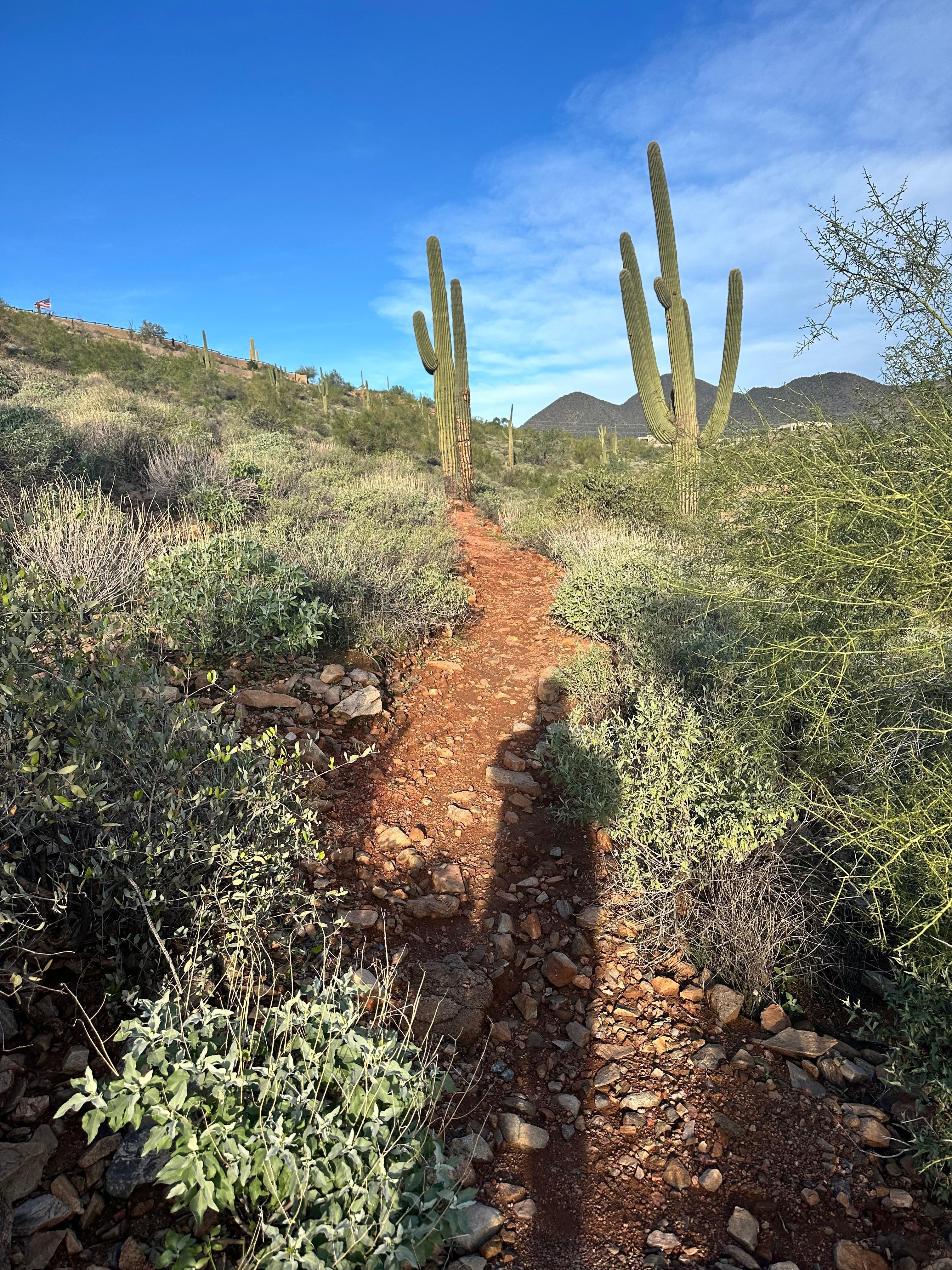 Nature trail at hotel. 