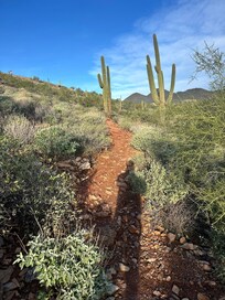 Nature trail at hotel.