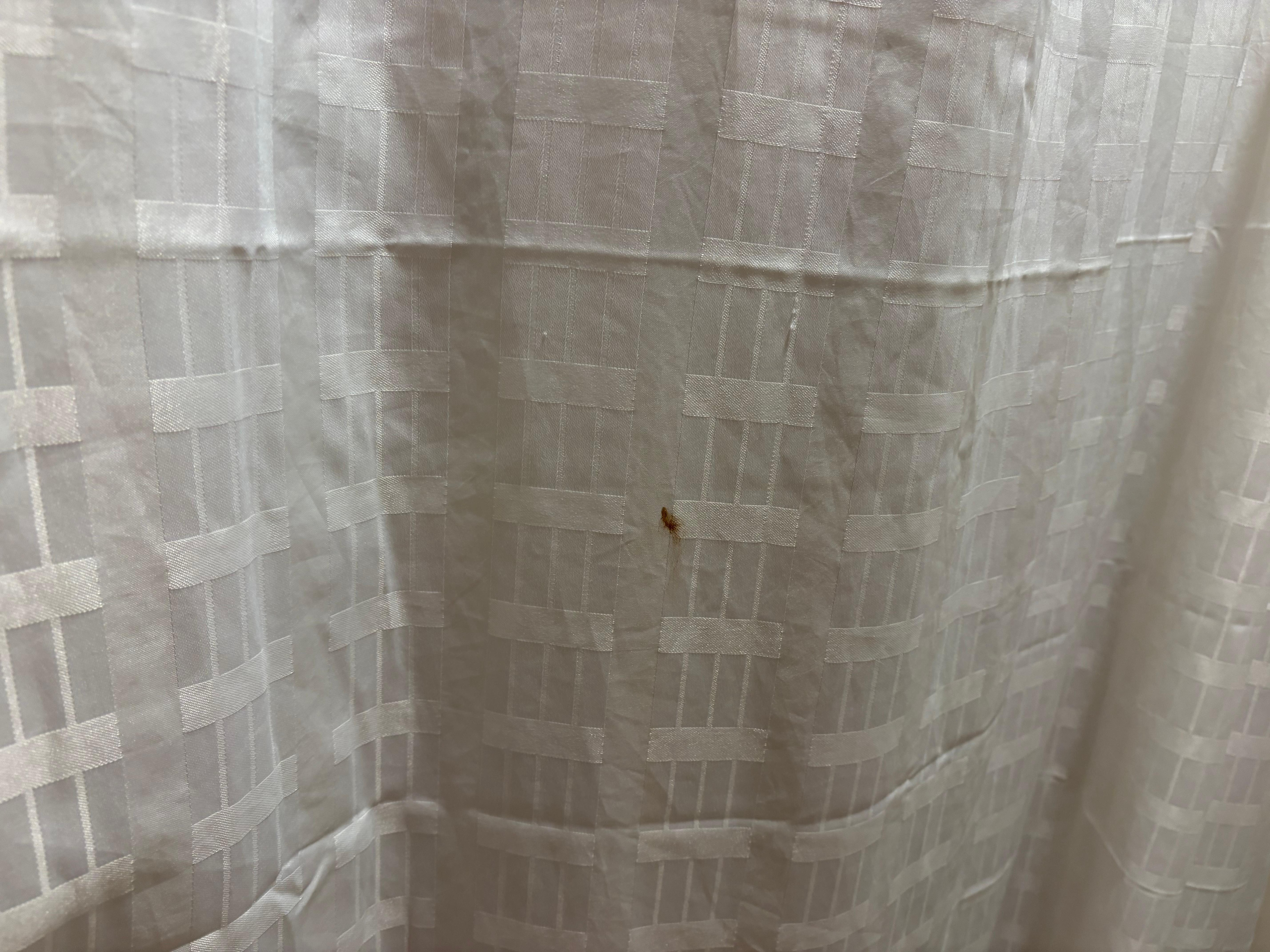 Mud (I hope) on shower curtain 