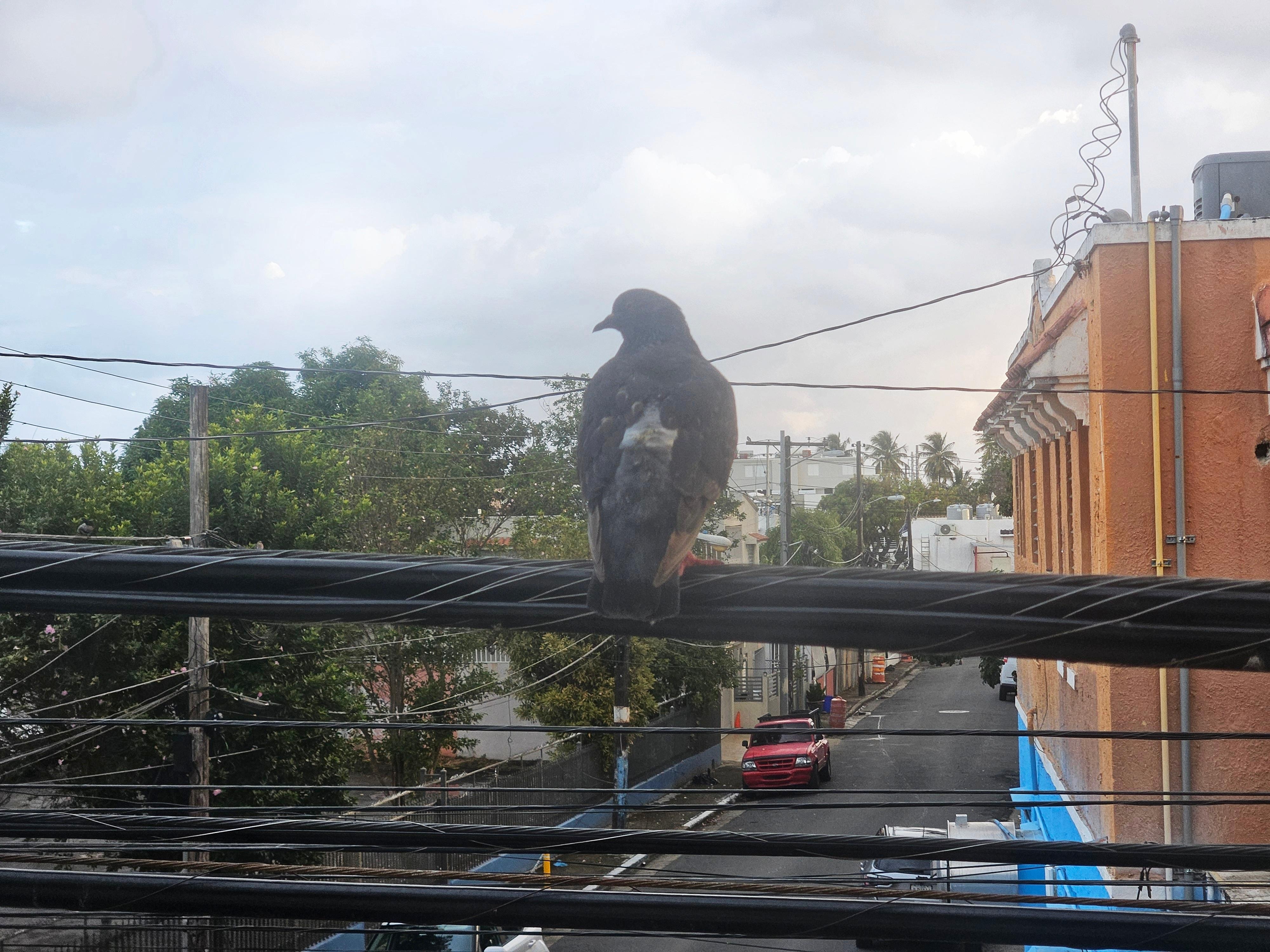 View outside bedroom window-2nd floor