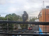 View outside bedroom window-2nd floor