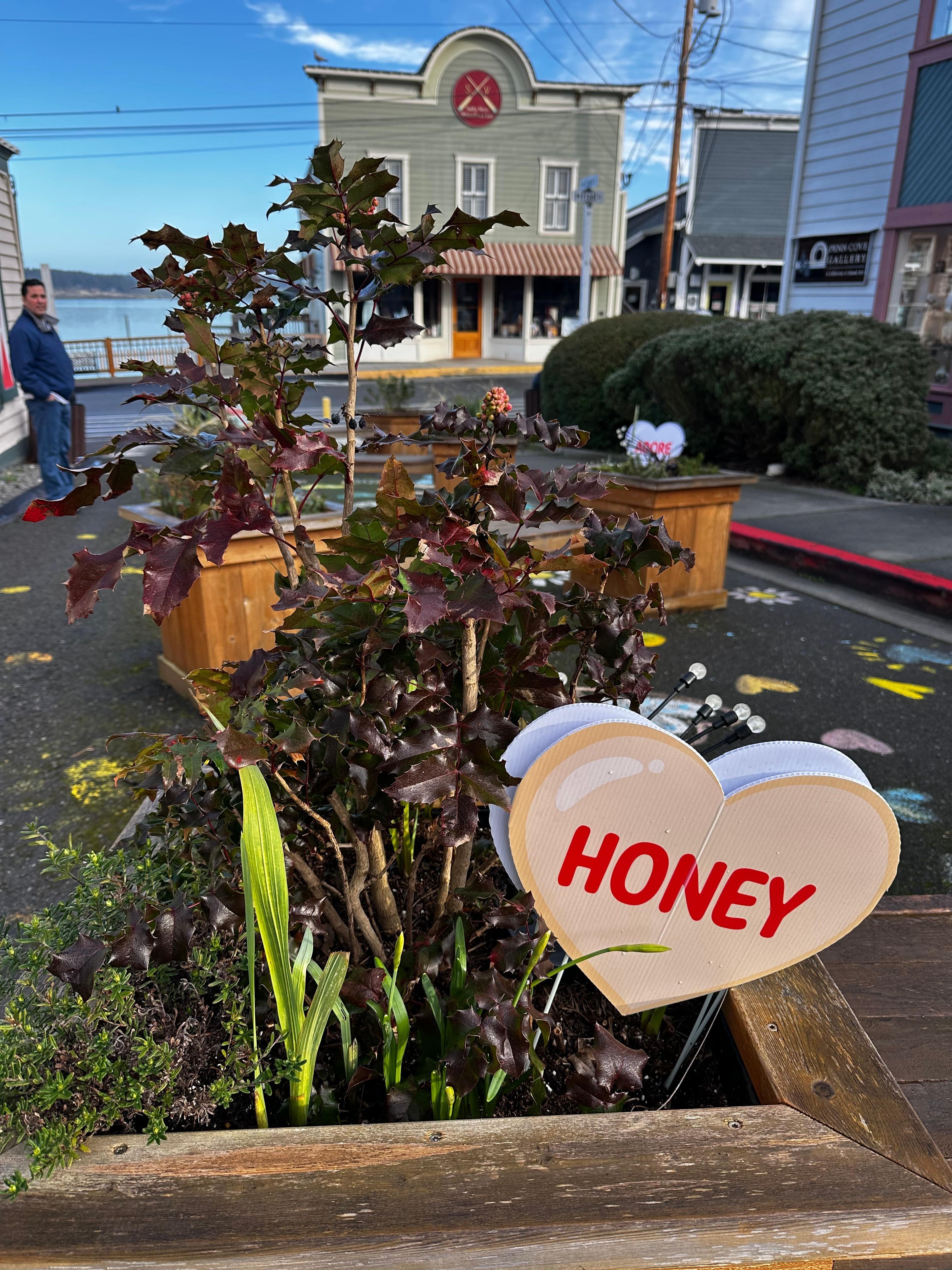 Adorable walk through the area, just steps away from the condo. 