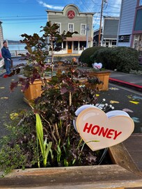 Adorable walk through the area, just steps away from the condo.