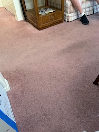 Filthy old carpeting