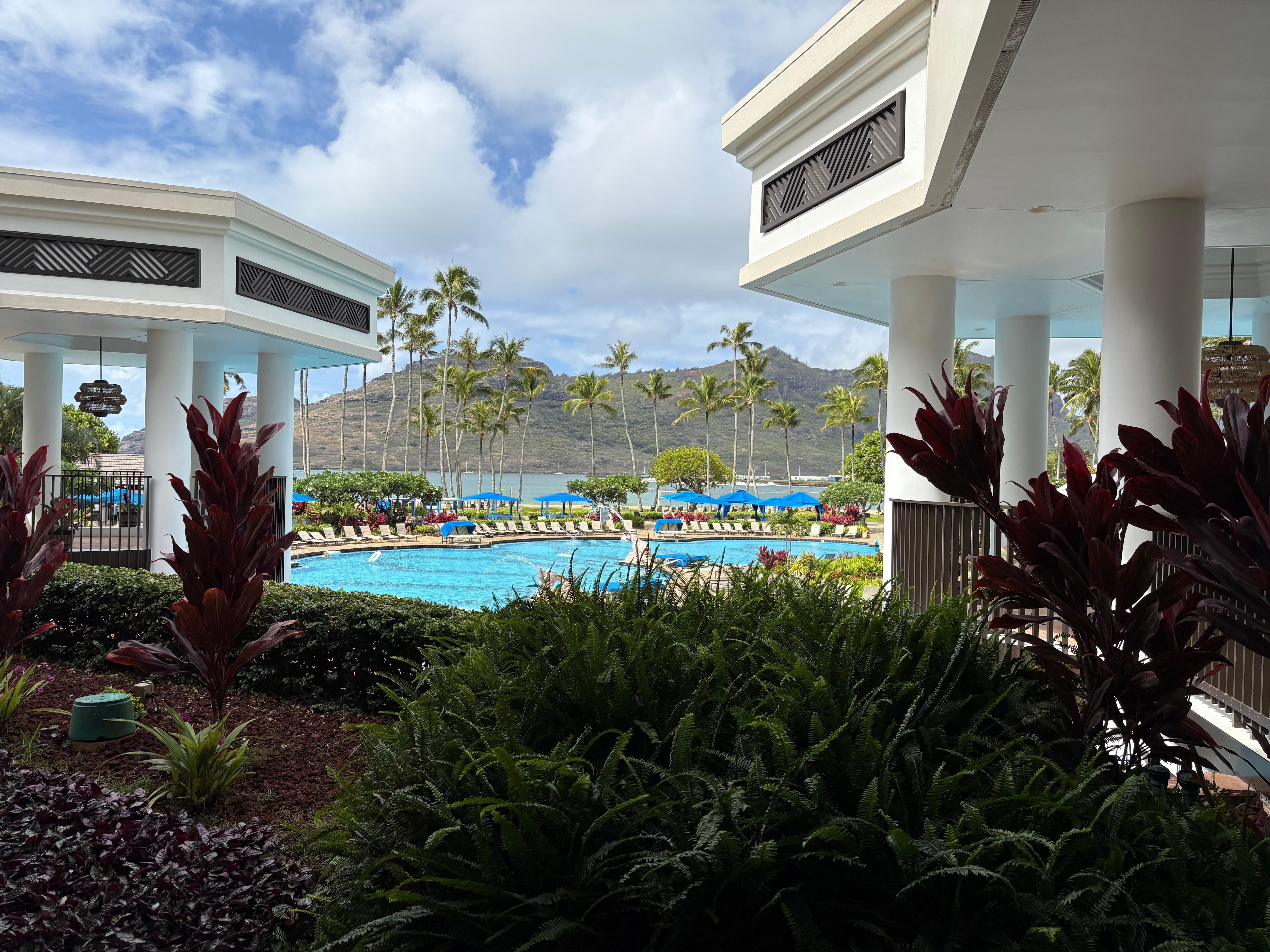View of the pool area.
