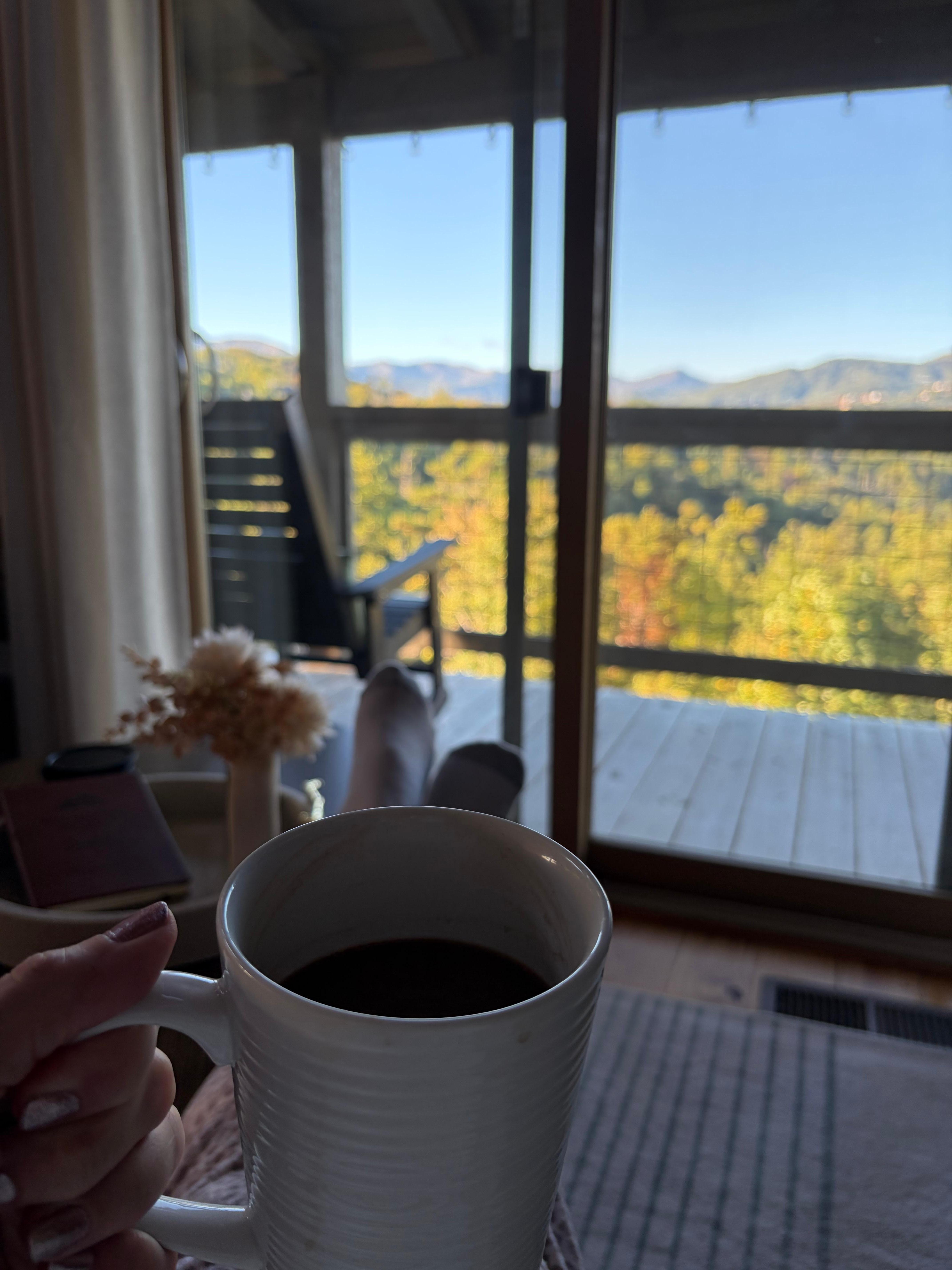 Perfect view for morning coffee! 