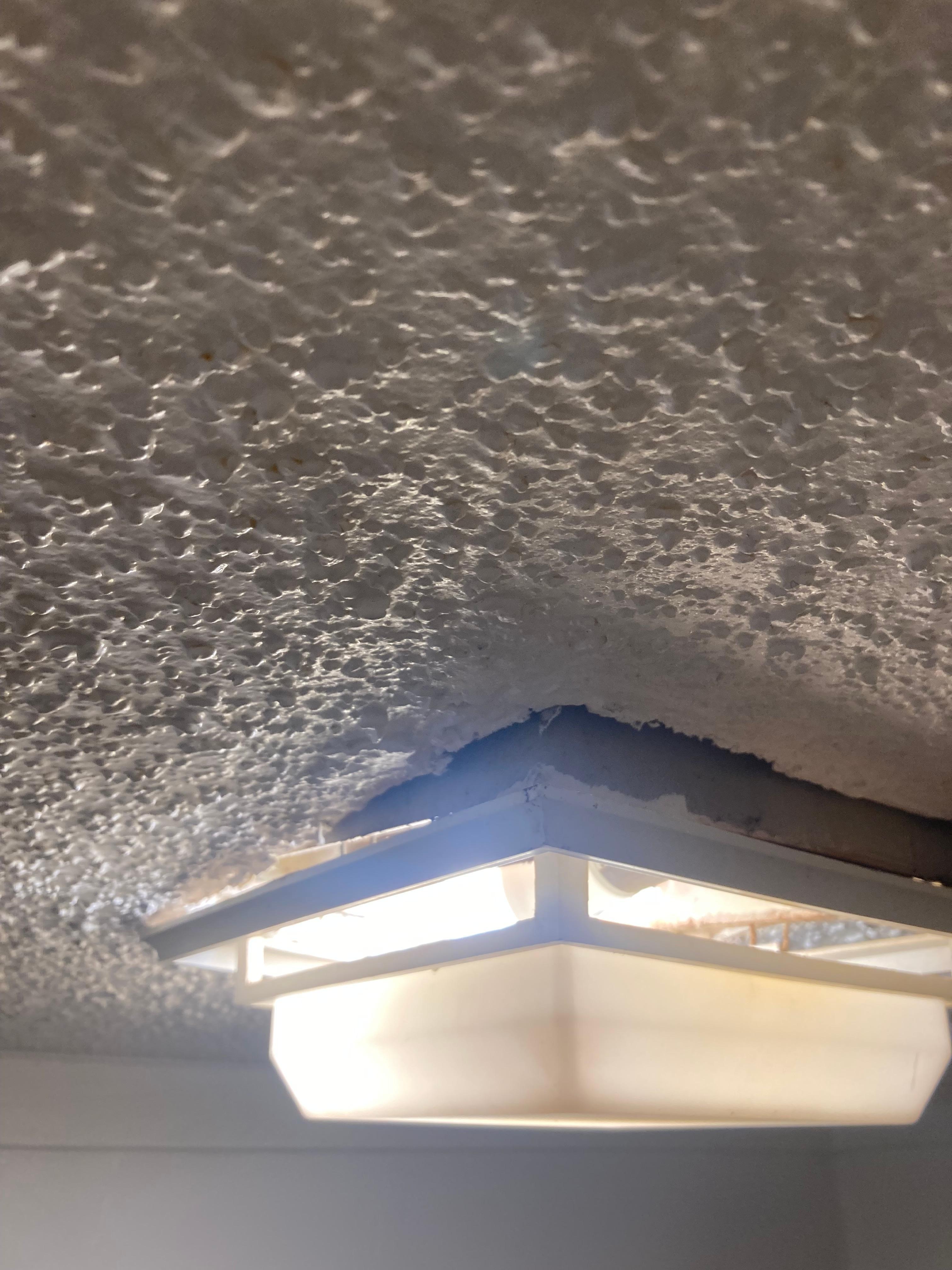 Light holding on with hopes and dreams 