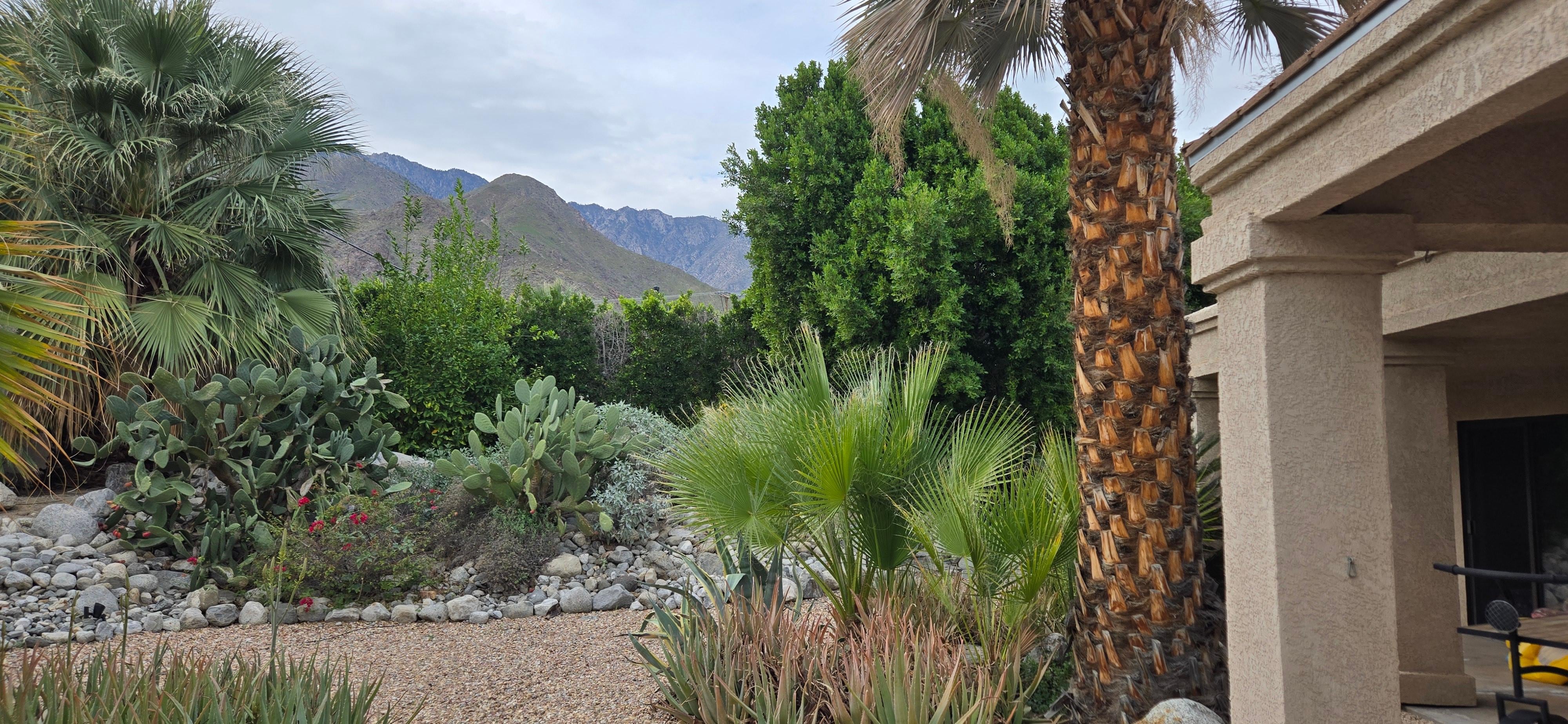 The amazing view from the back yard!