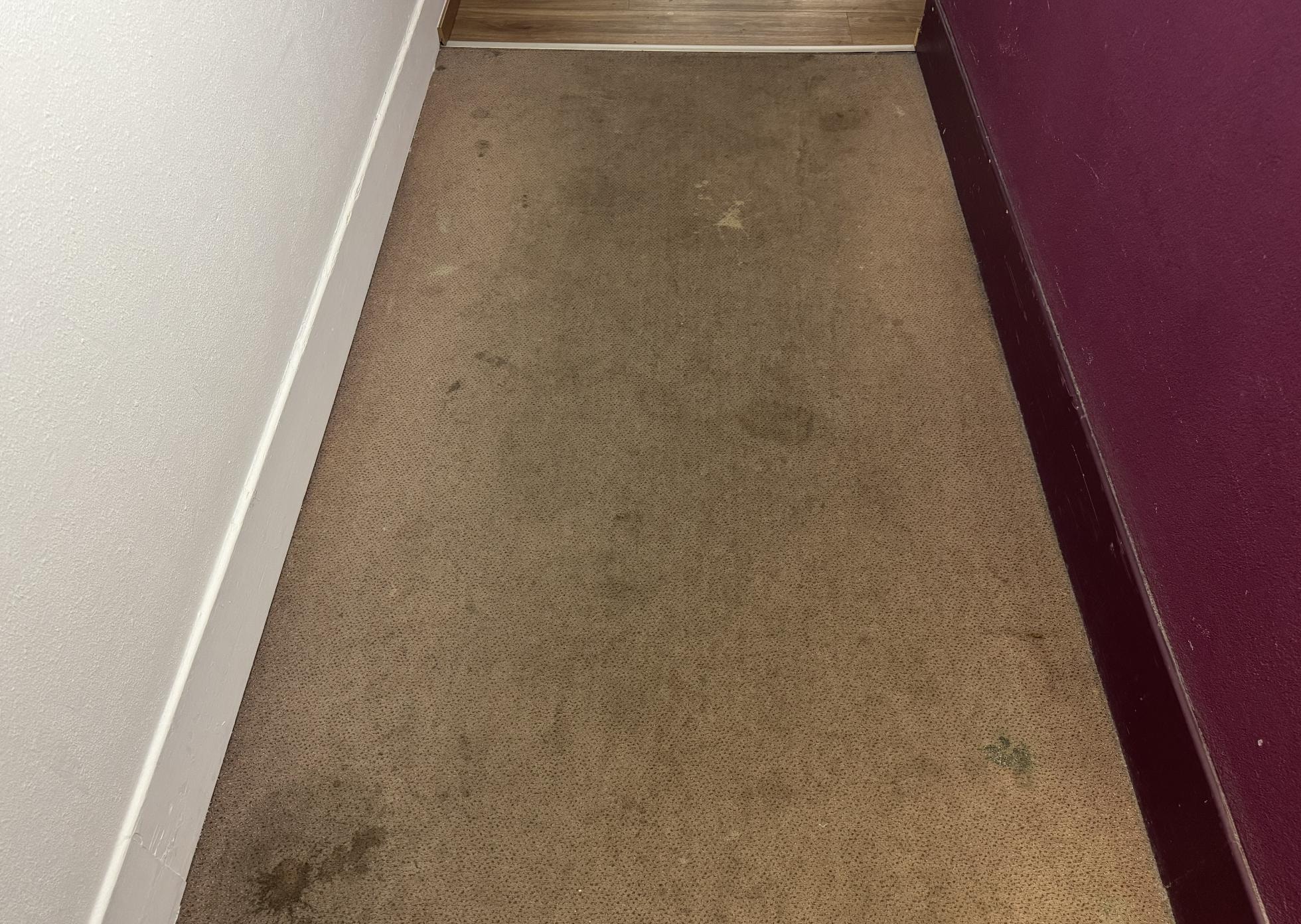 worn carpet on the hallway