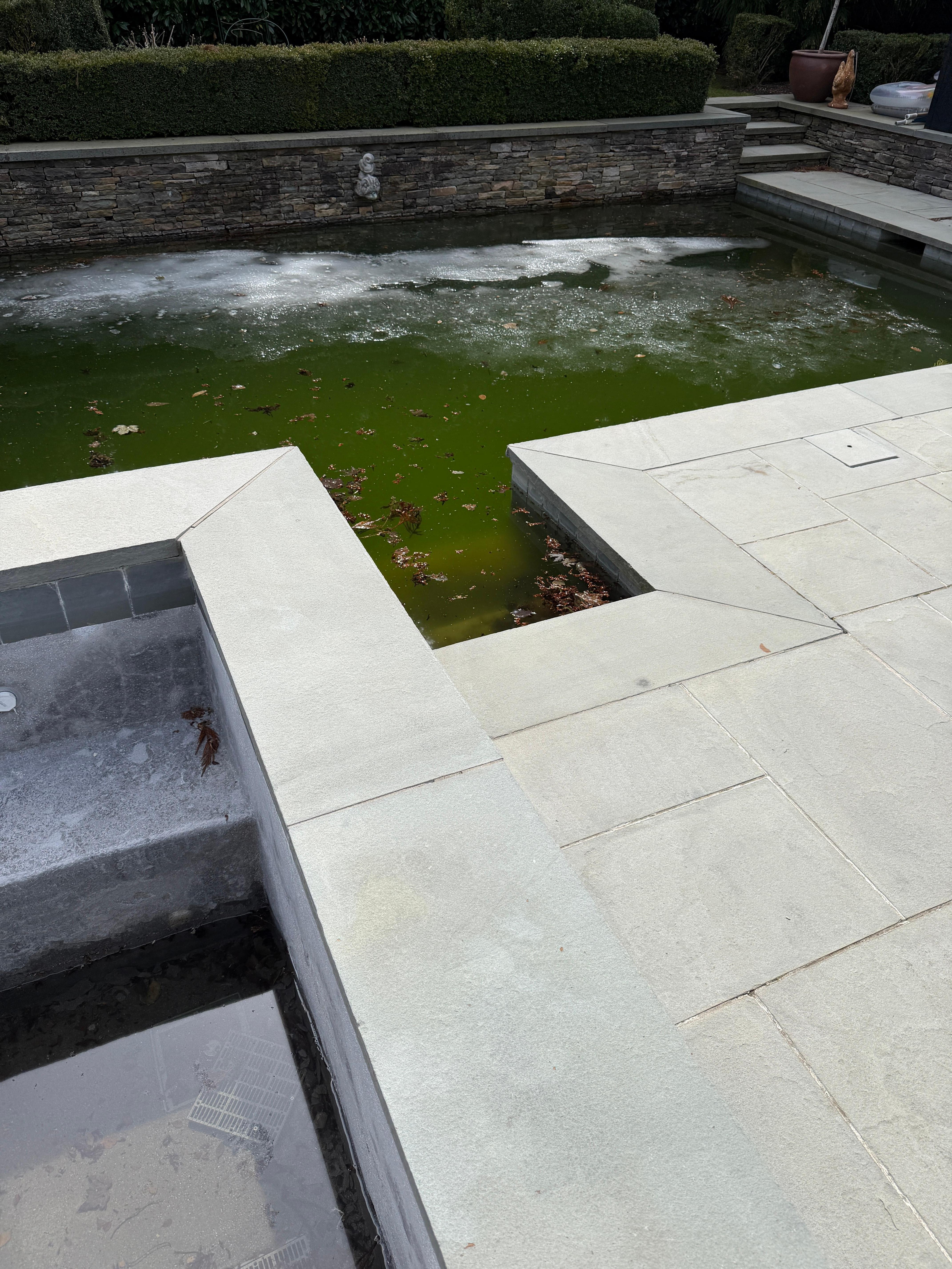 Pool was green and full of dead leaves 