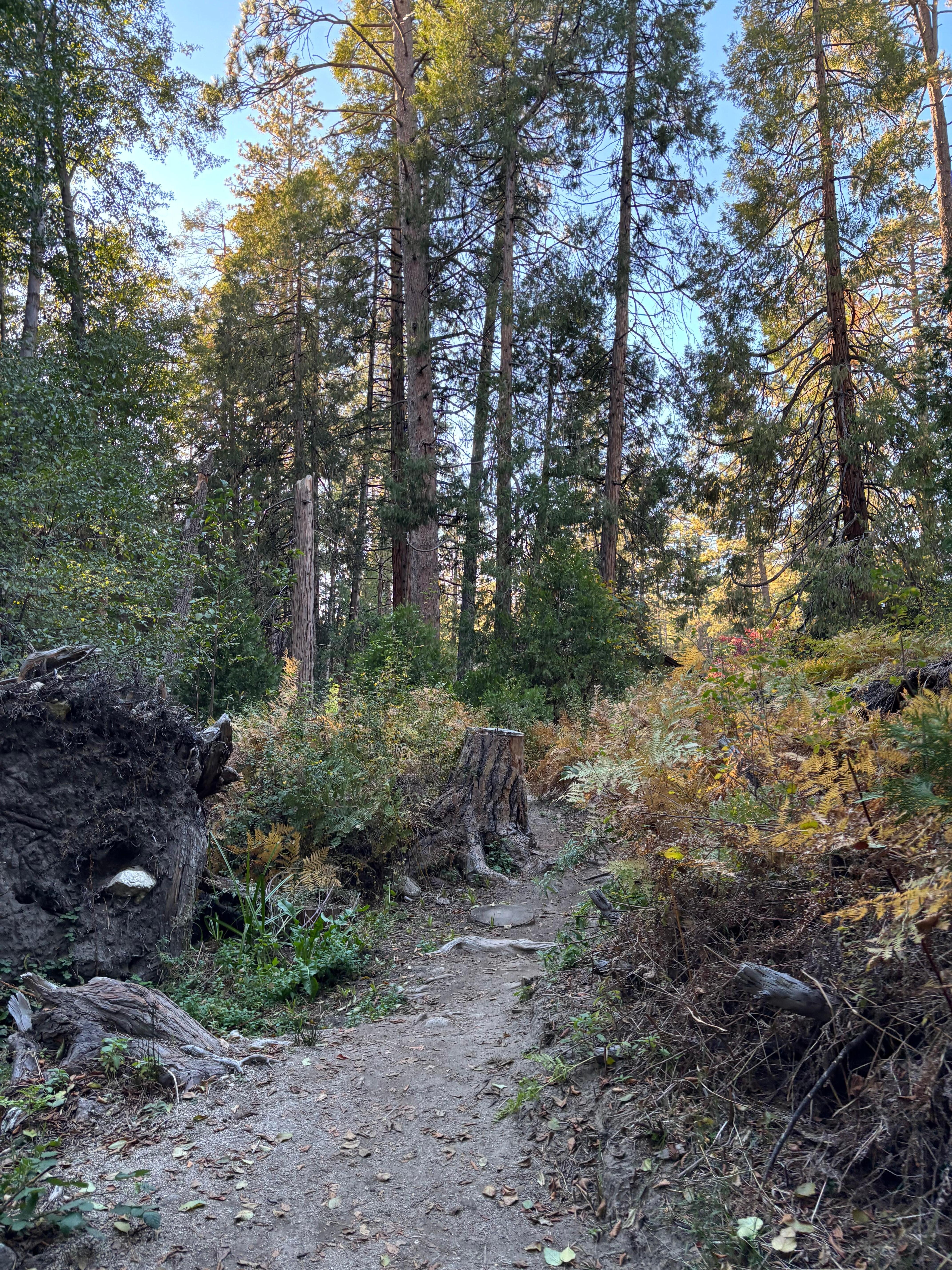 Walking path to village 