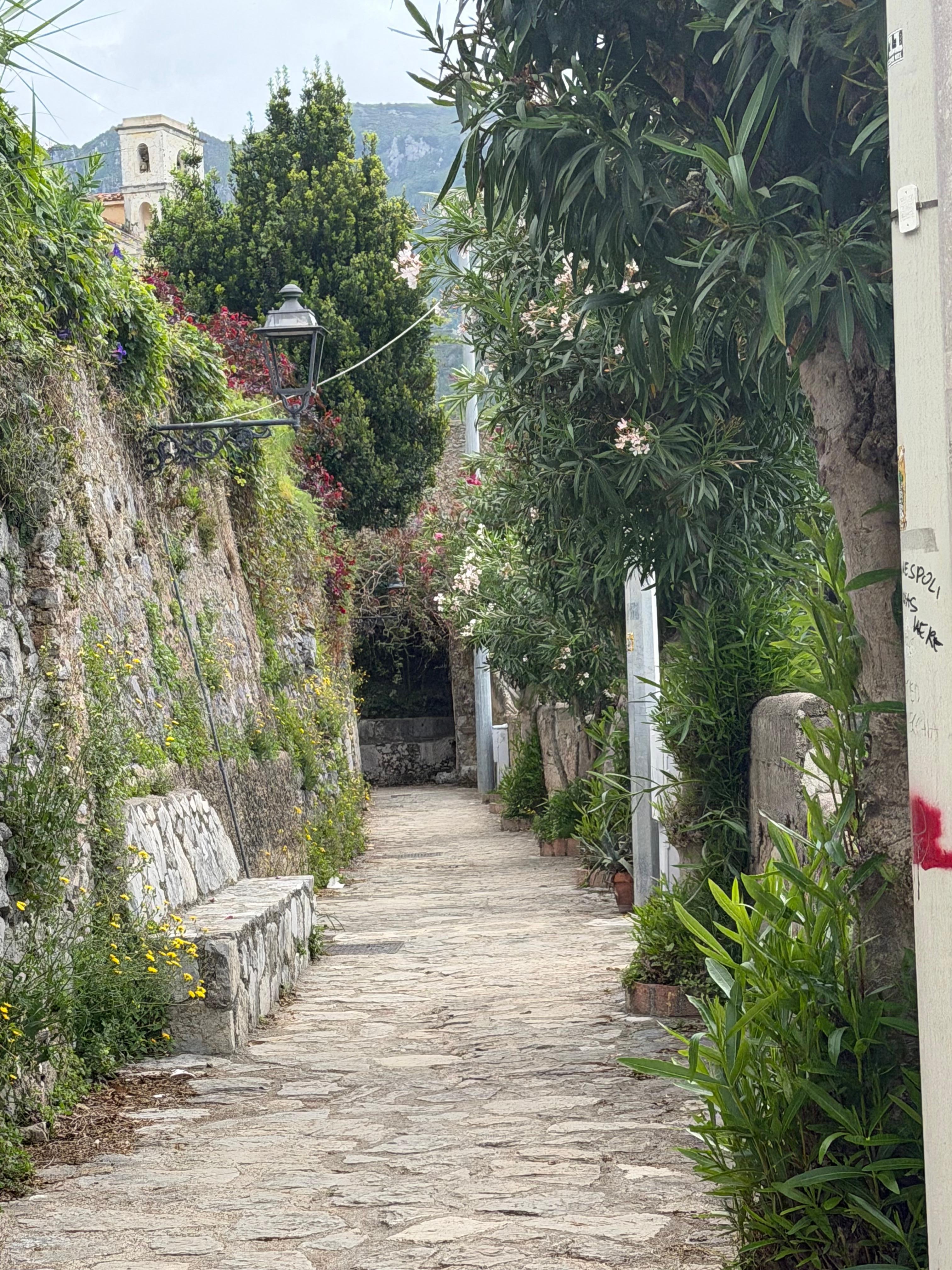lemon passage 