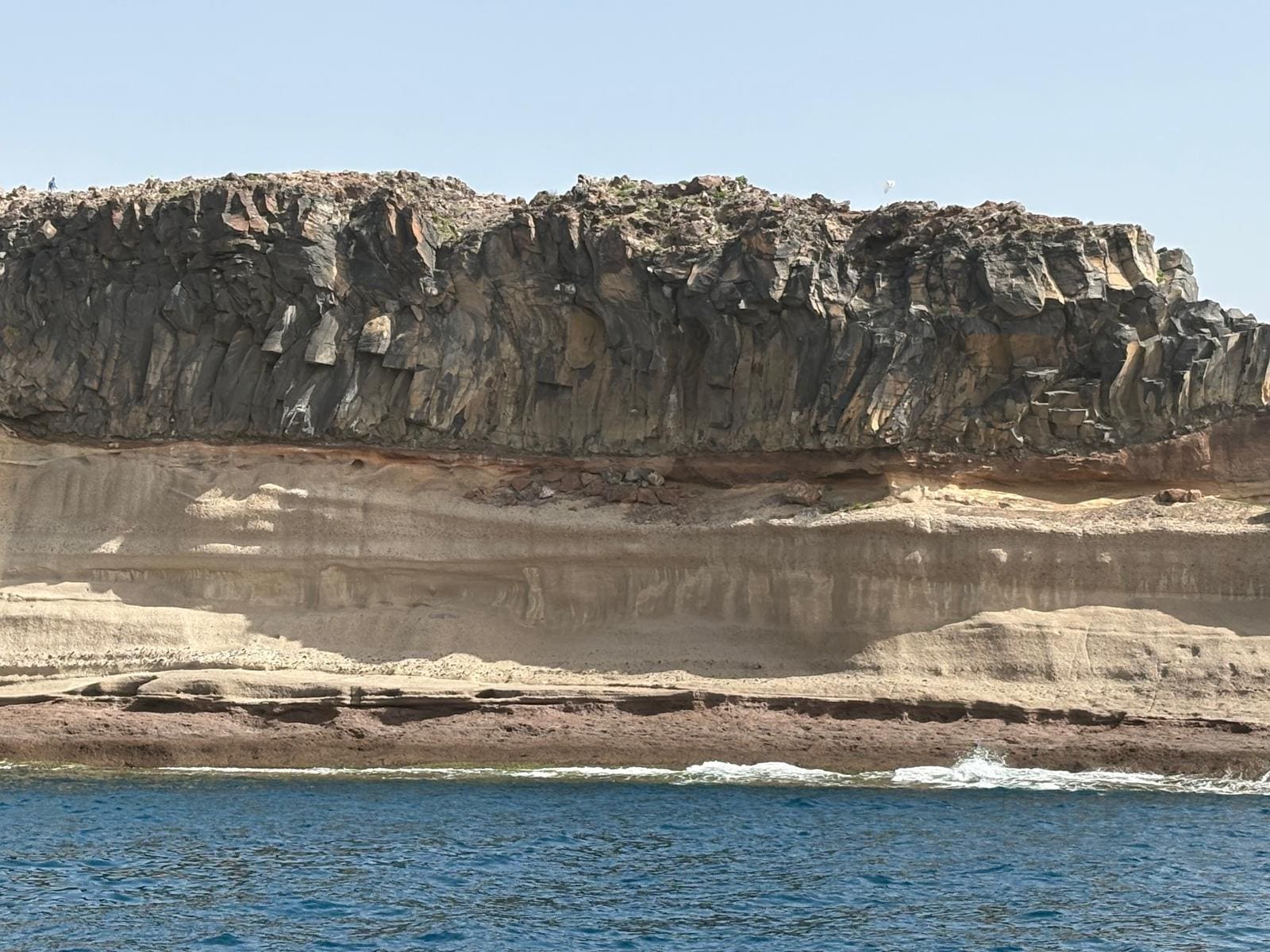 Whale watching and swimming 