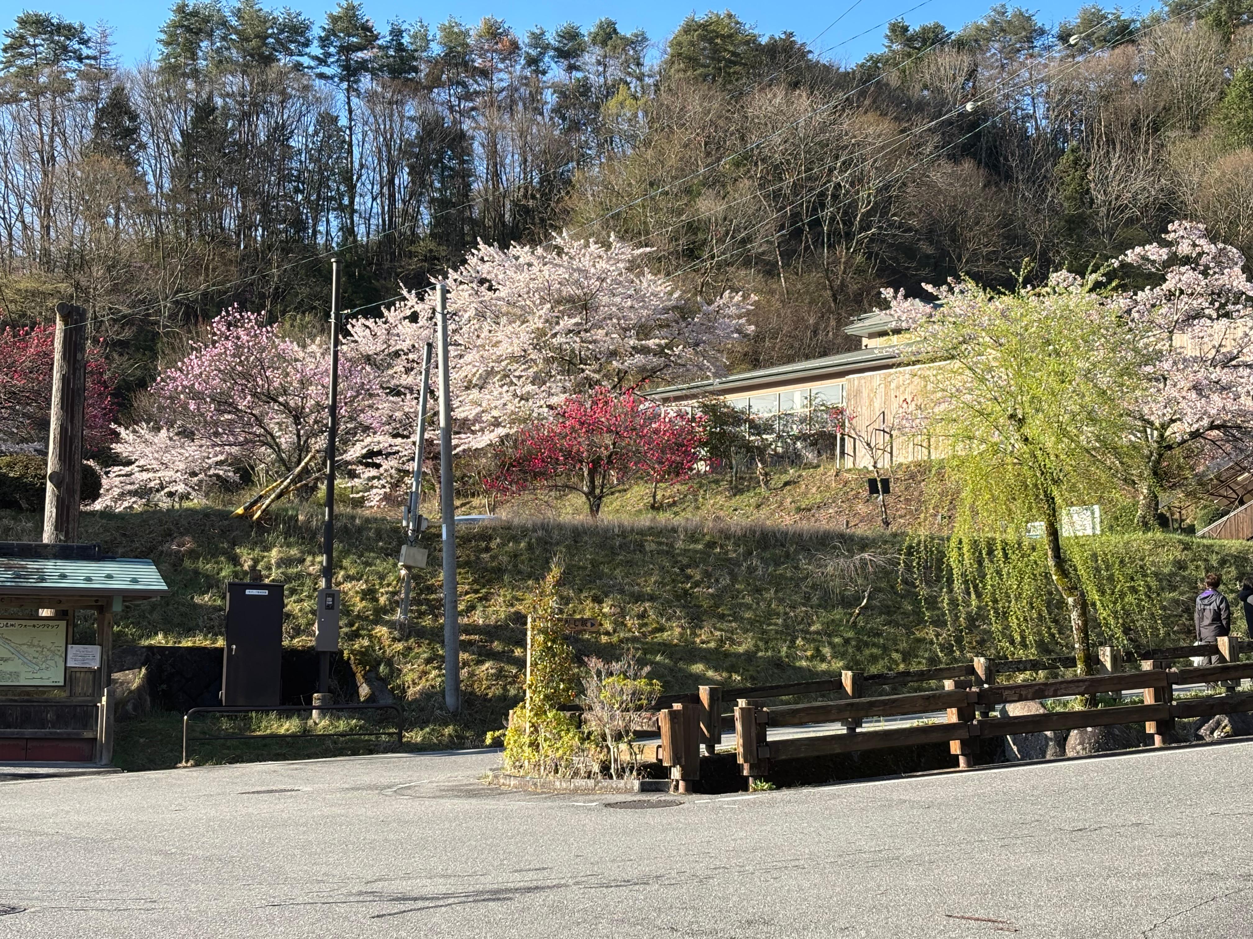 朝市に行く途中