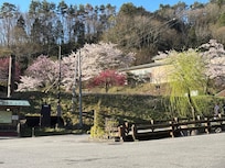 朝市に行く途中