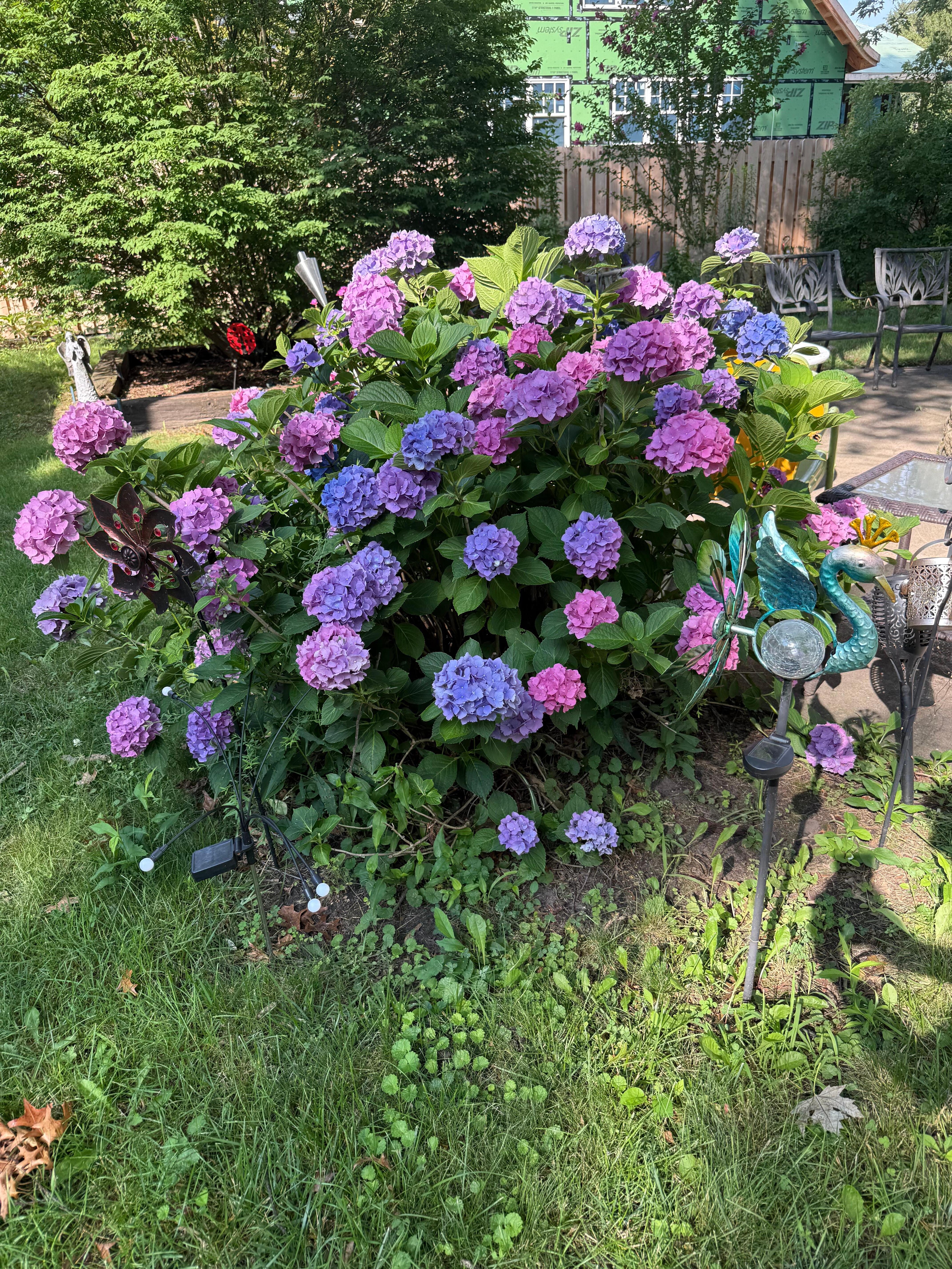 Beautiful flowers and many solar-lit at night as well. 